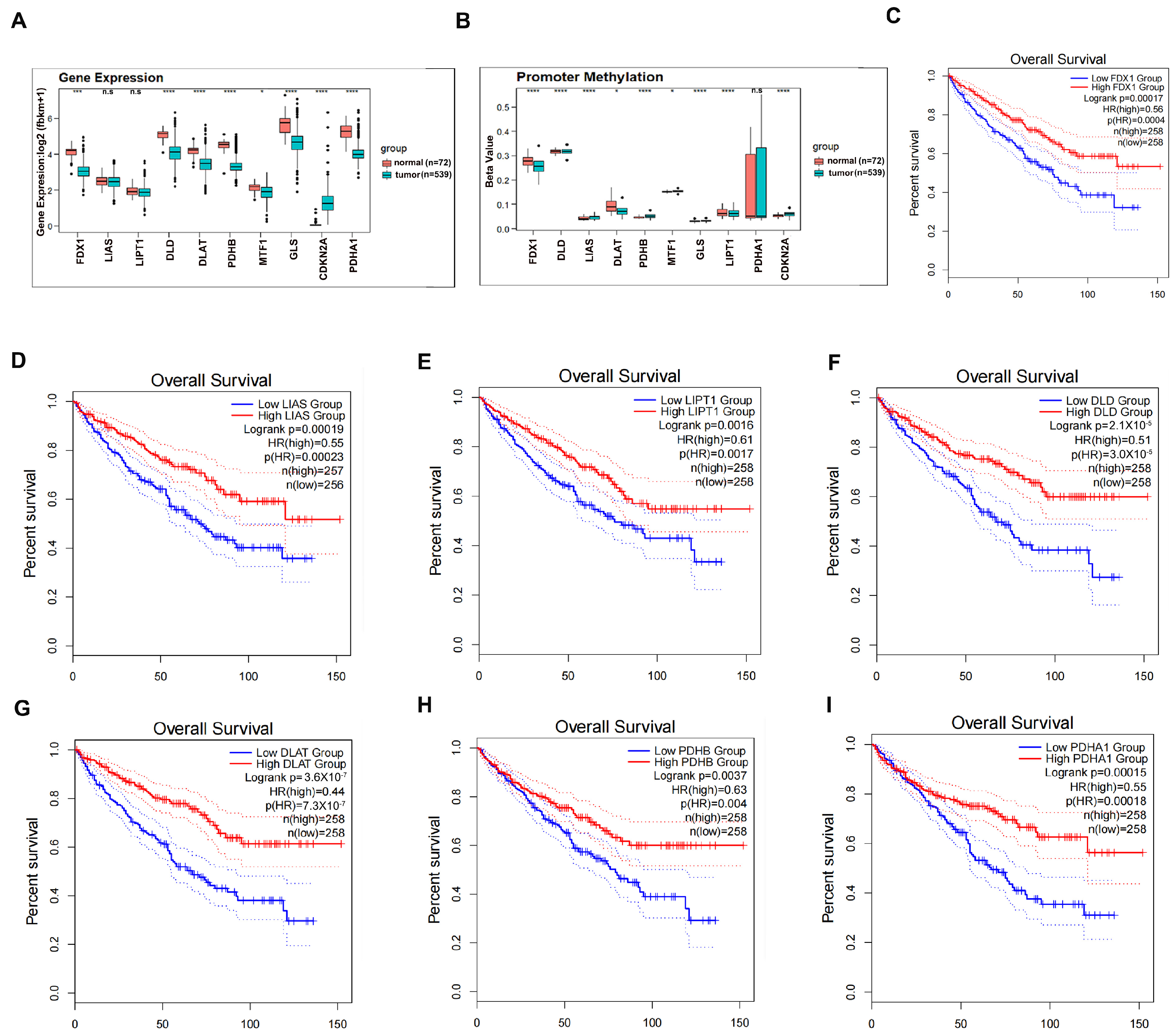 Cells 12 00173 g001 Cells 12 00173 g001
