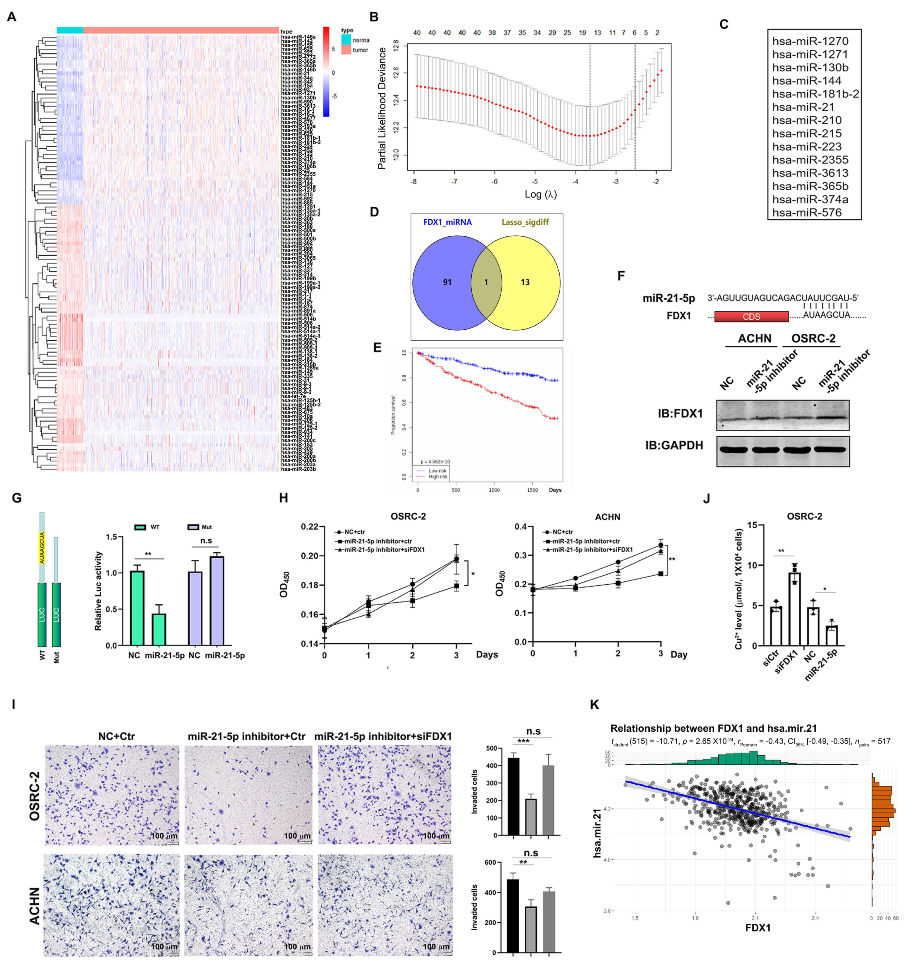 Cells 12 00173 g006 Cells 12 00173 g006