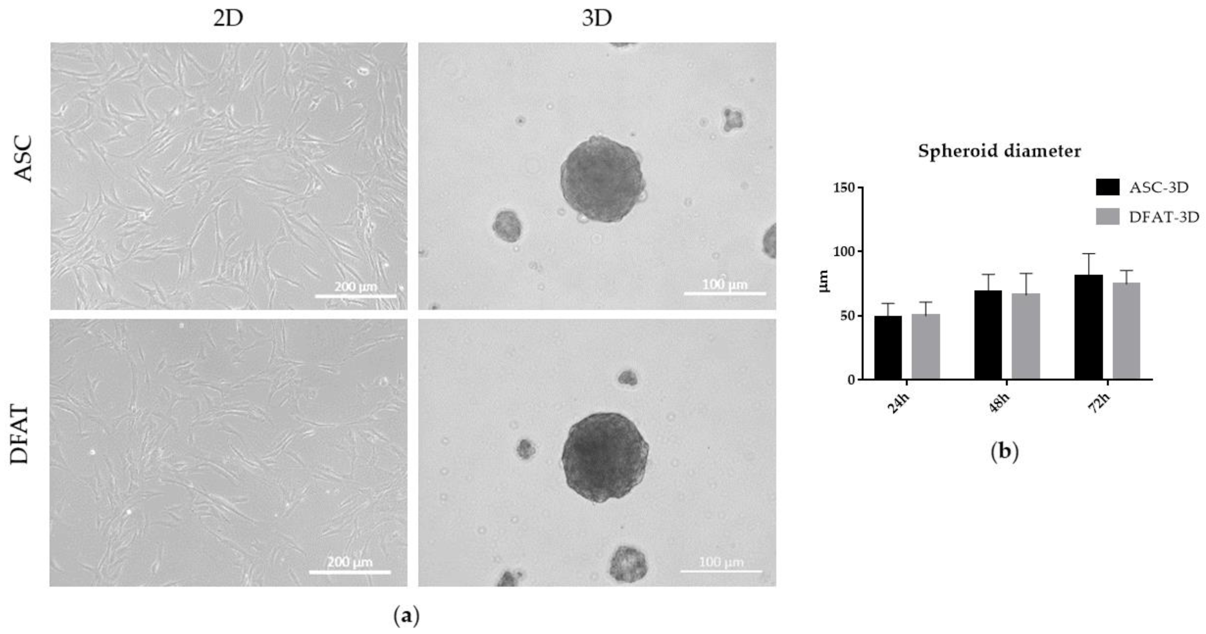 Cells 12 00178 g003 Cells 12 00178 g003
