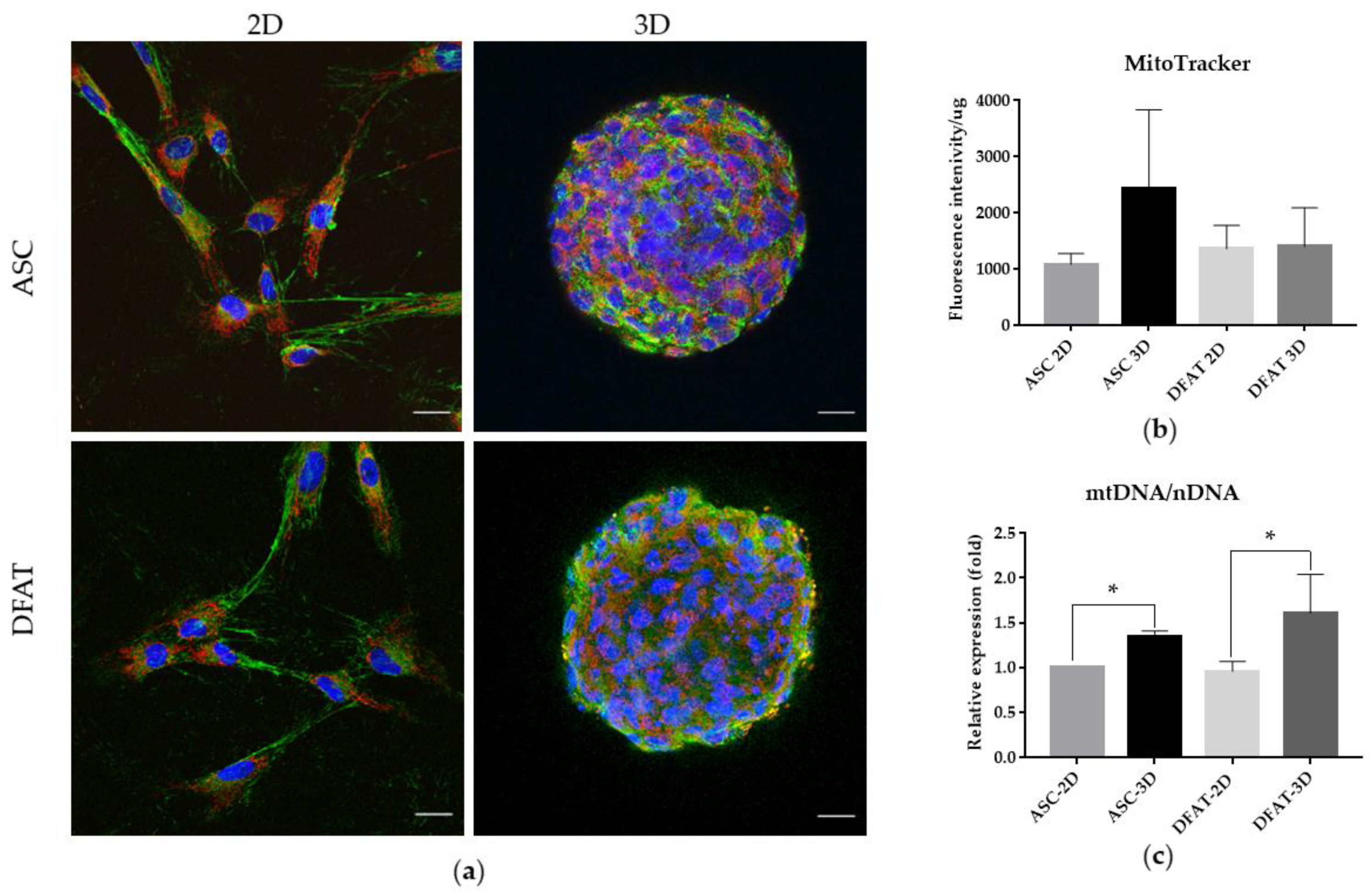 Cells 12 00178 g007 Cells 12 00178 g007