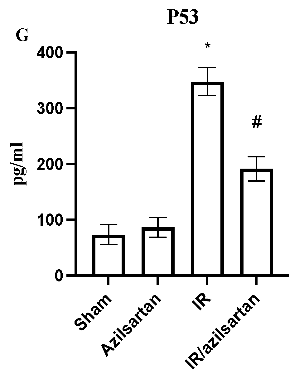 Cells 12 00185 g002b Cells 12 00185 g002b