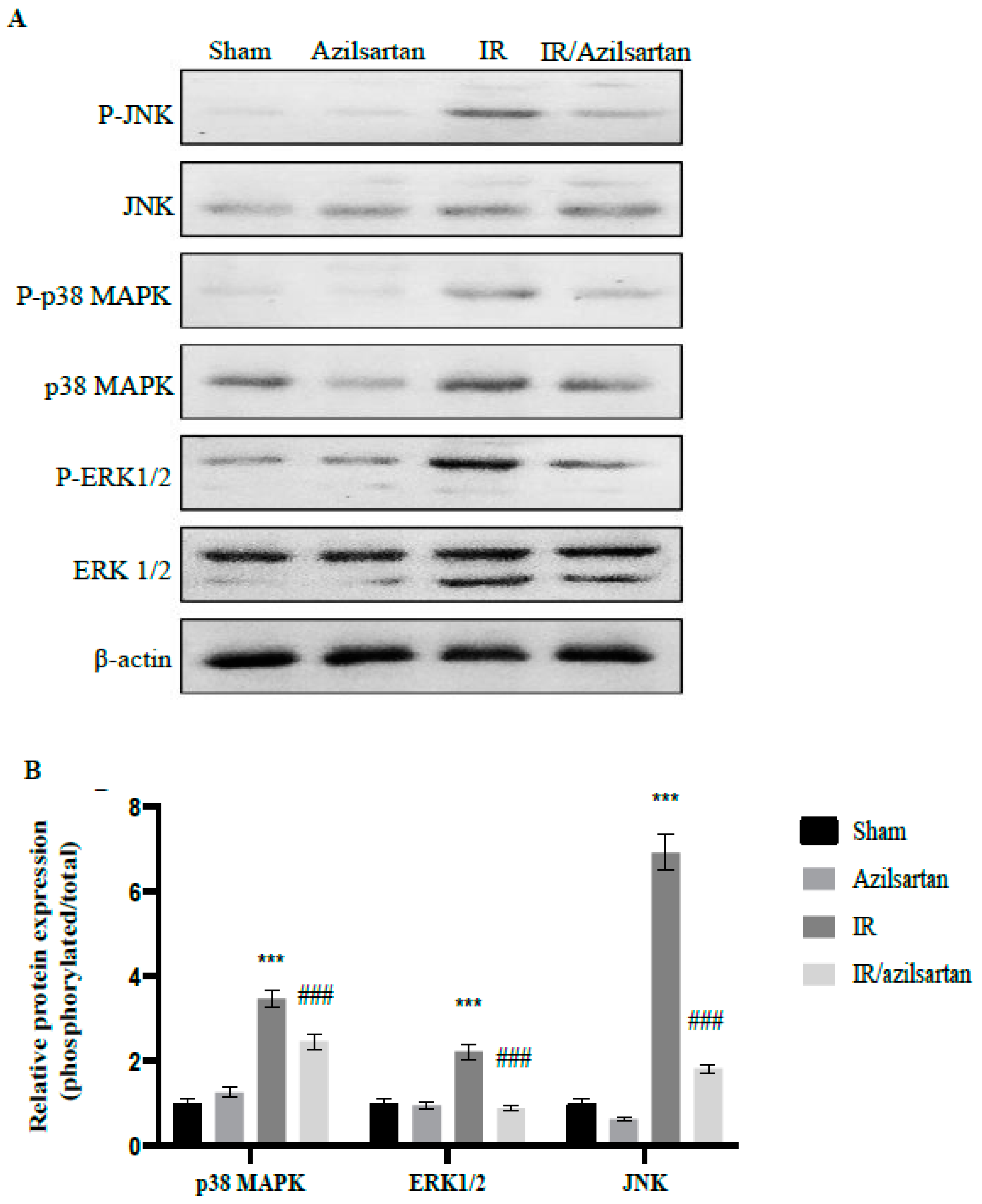 Cells 12 00185 g004 Cells 12 00185 g004