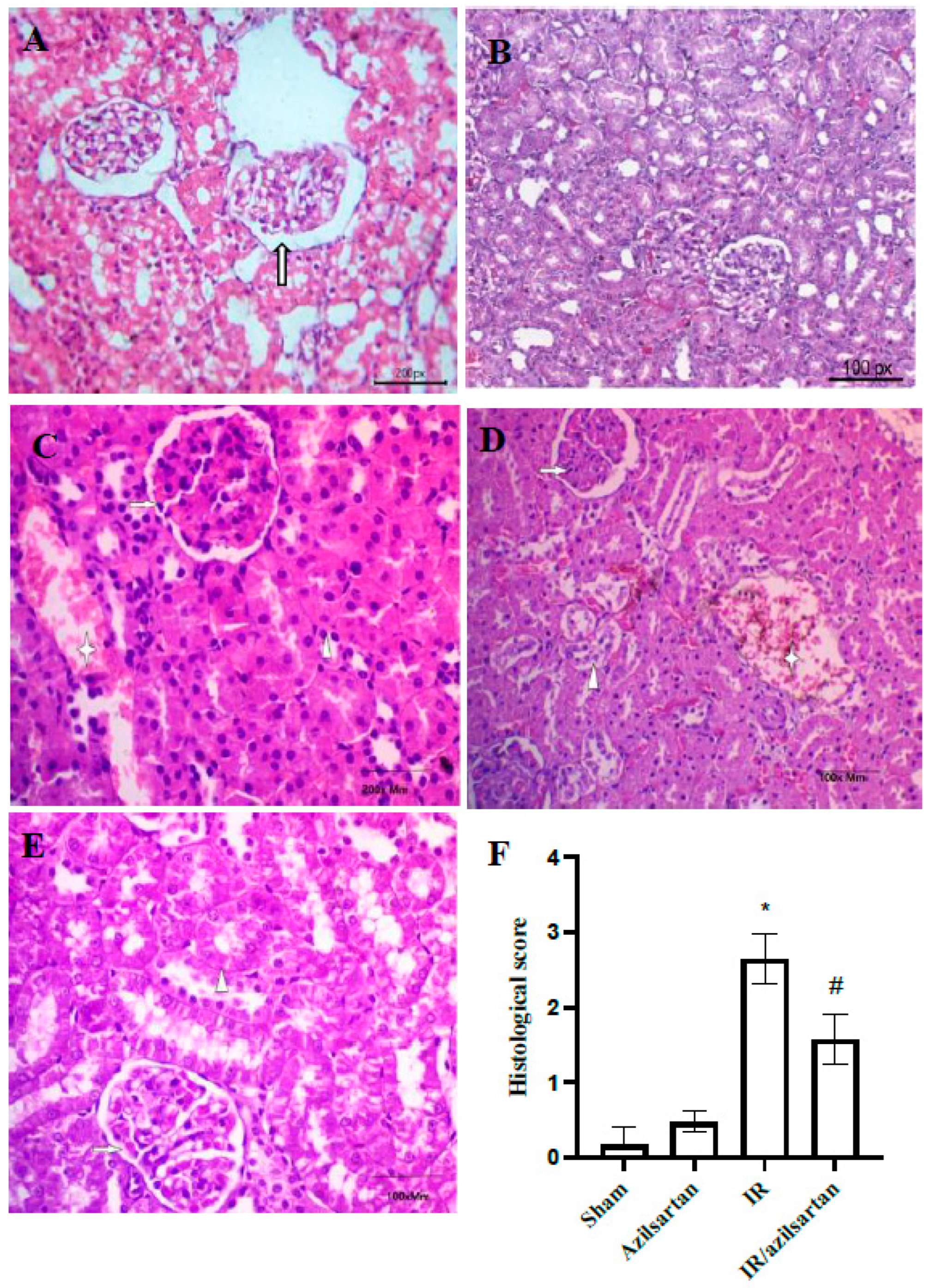 Cells 12 00185 g005 Cells 12 00185 g005