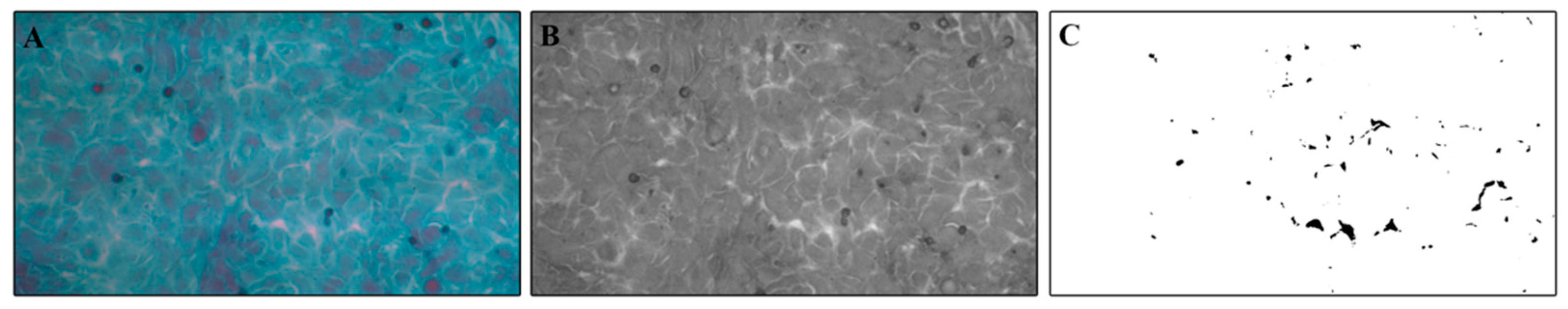 Cells 12 00192 g001 Cells 12 00192 g001