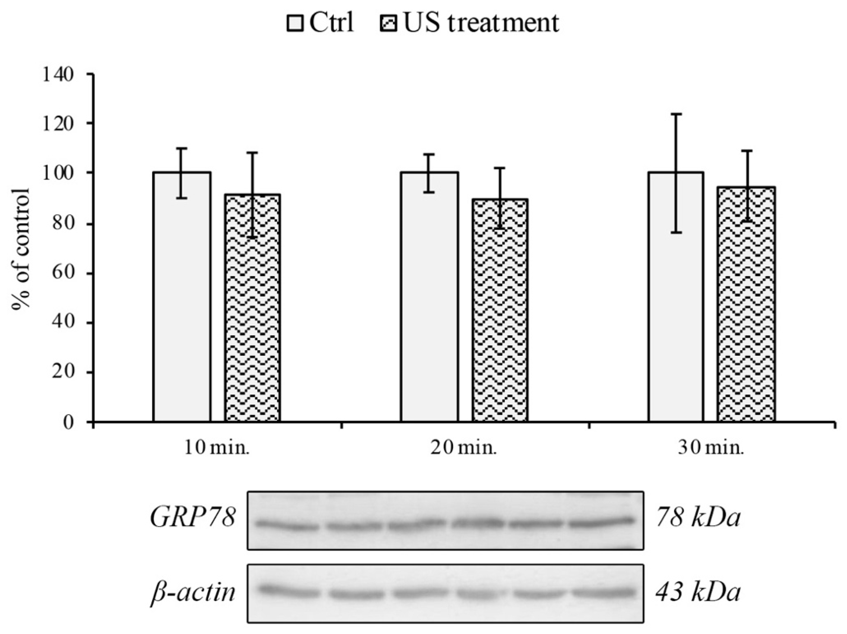 Cells 12 00192 g003 Cells 12 00192 g003