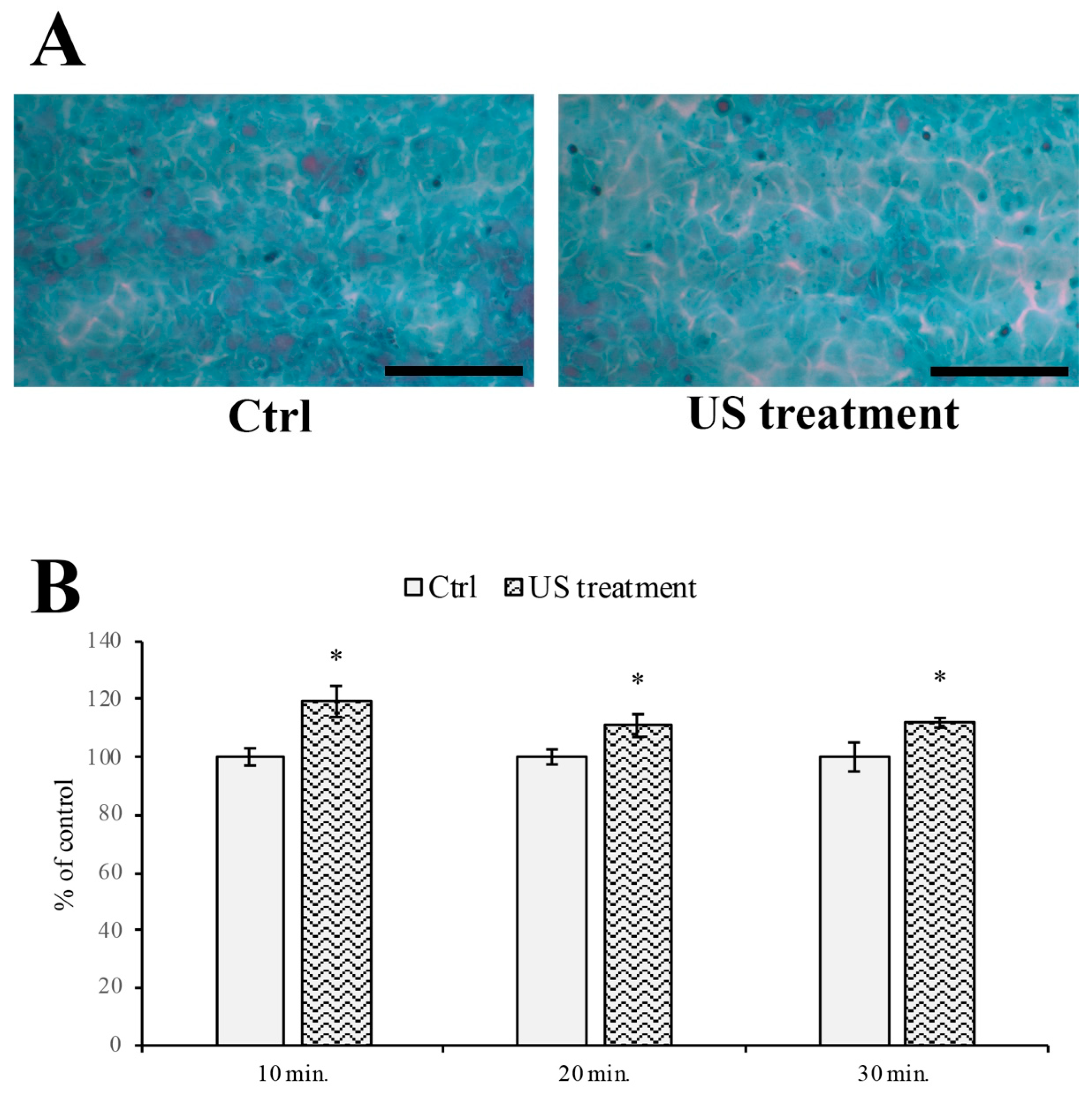 Cells 12 00192 g005 Cells 12 00192 g005