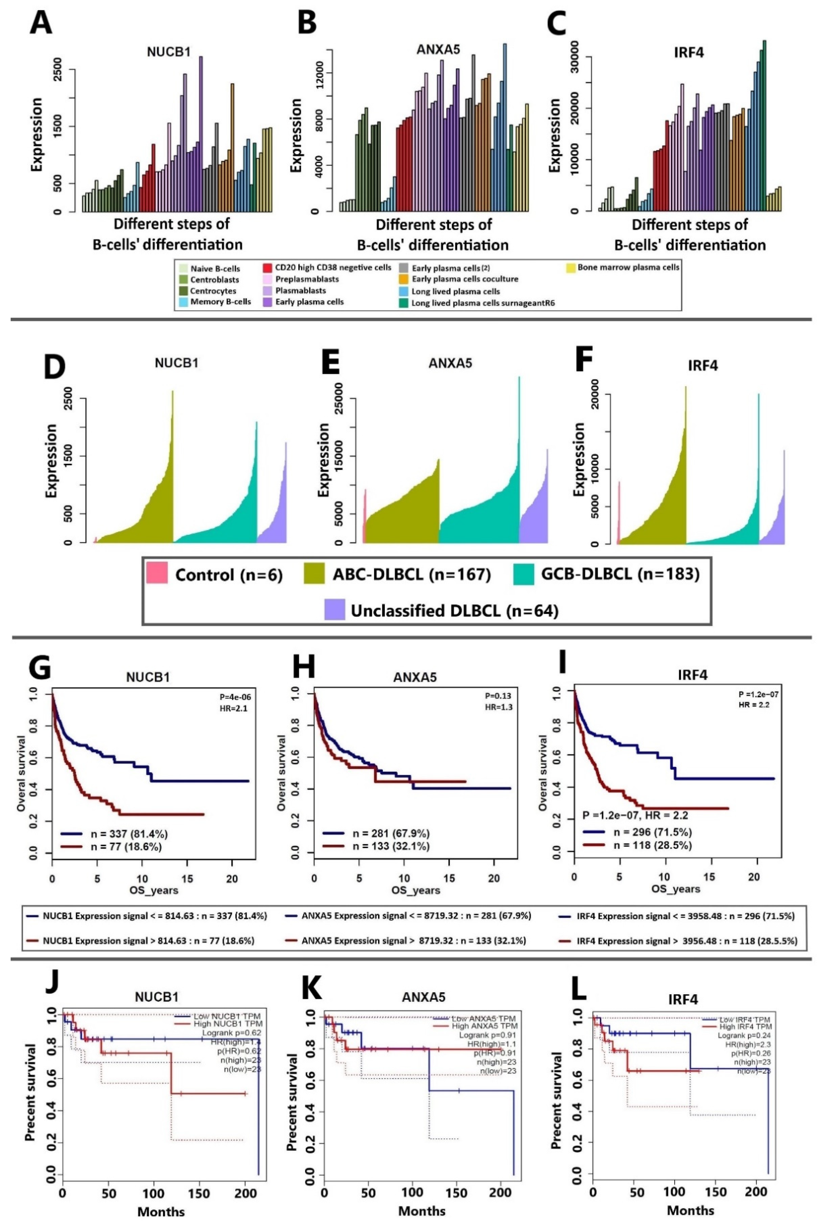 Cells 12 00196 g004 Cells 12 00196 g004