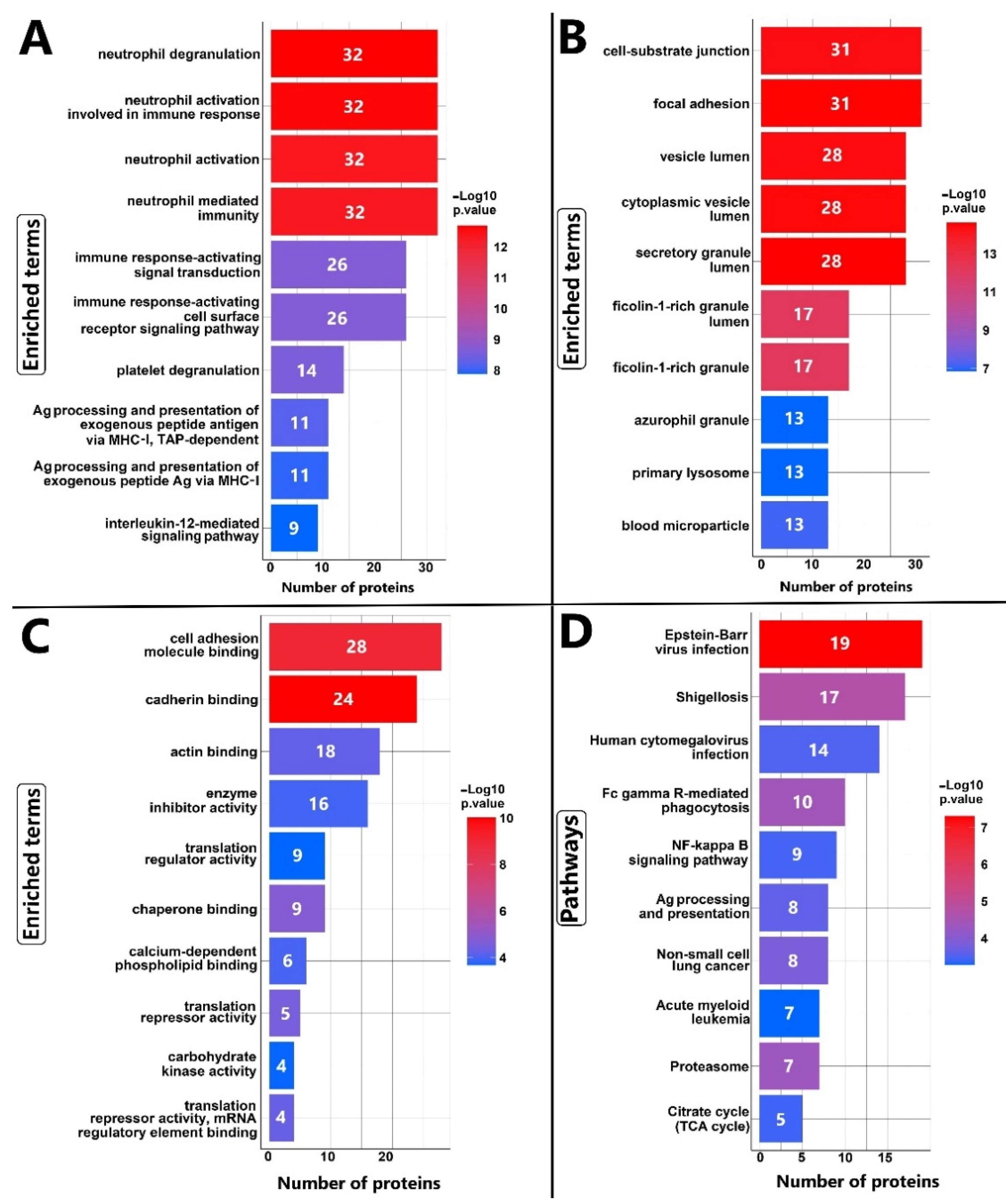 Cells 12 00196 g005 Cells 12 00196 g005
