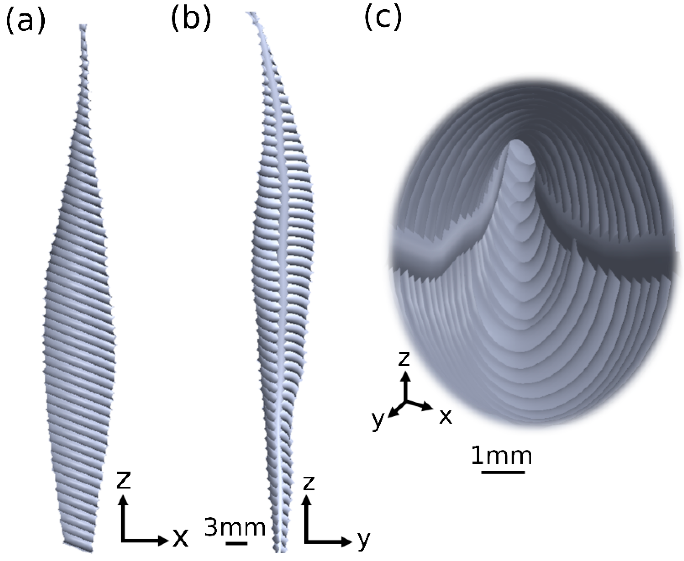 Cells 12 00203 g002 Cells 12 00203 g002