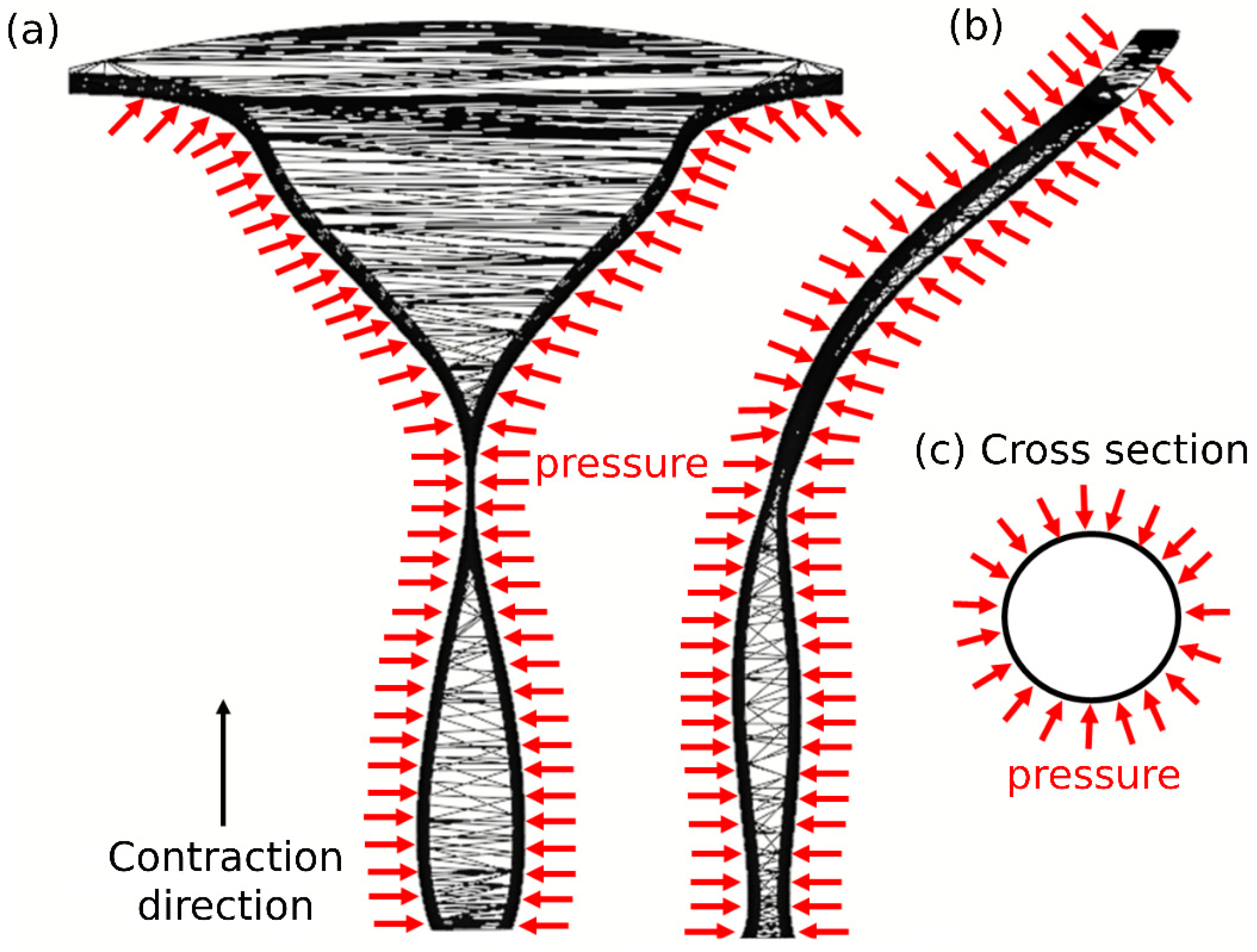 Cells 12 00203 g003 Cells 12 00203 g003