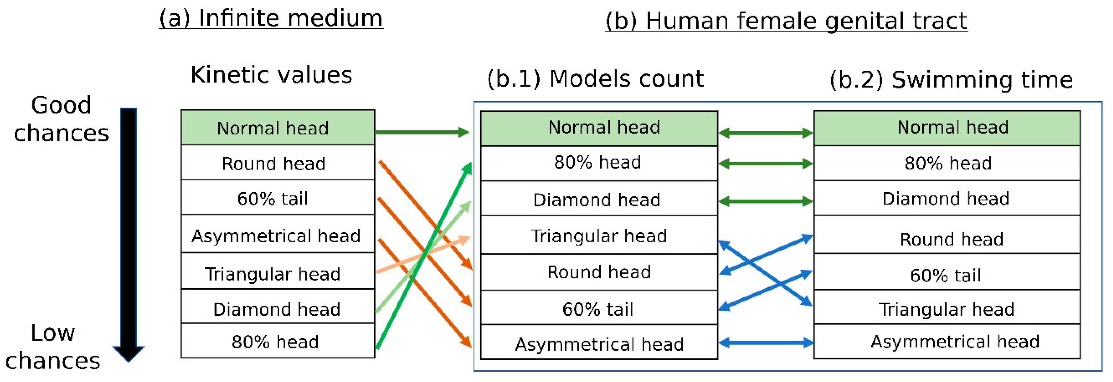 Cells 12 00203 g007 Cells 12 00203 g007