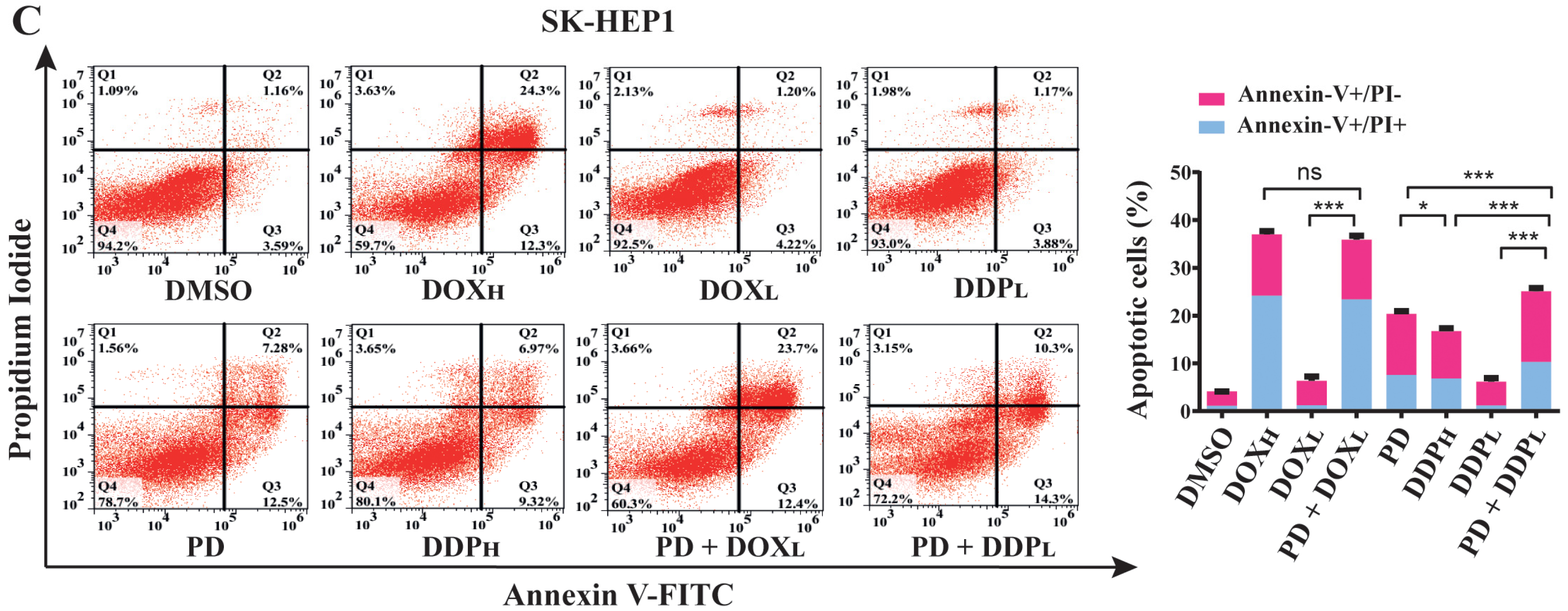 Cells 12 00222 g003b