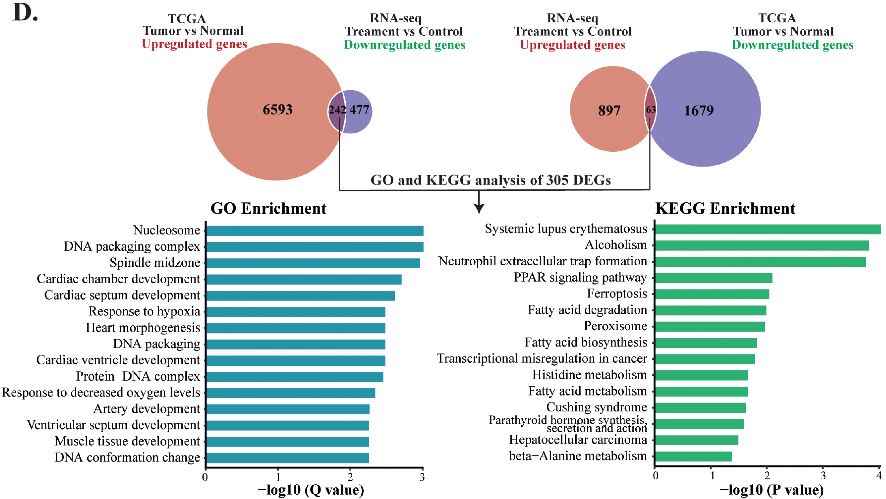 Cells 12 00222 g005b