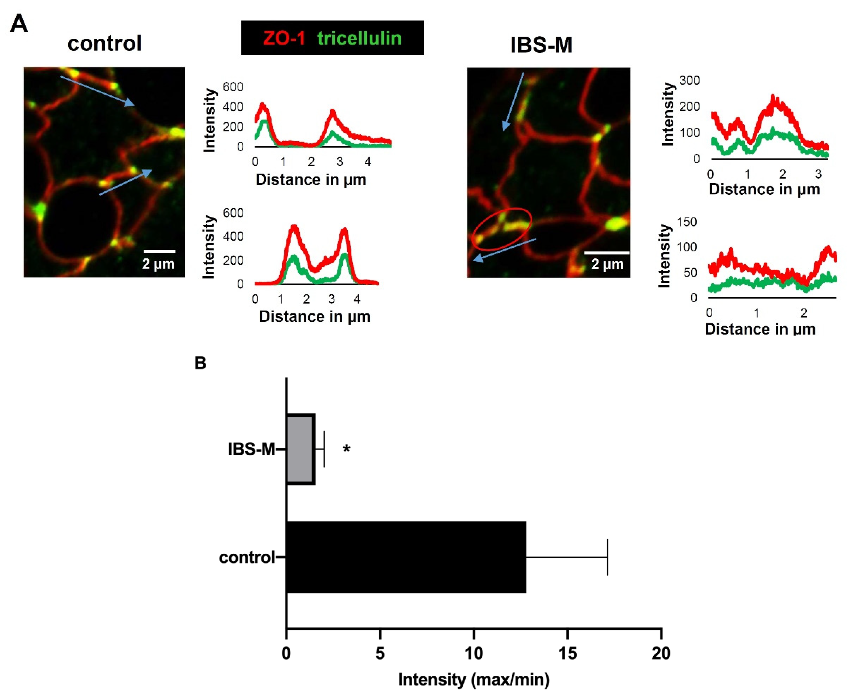 Cells 12 00236 g005a