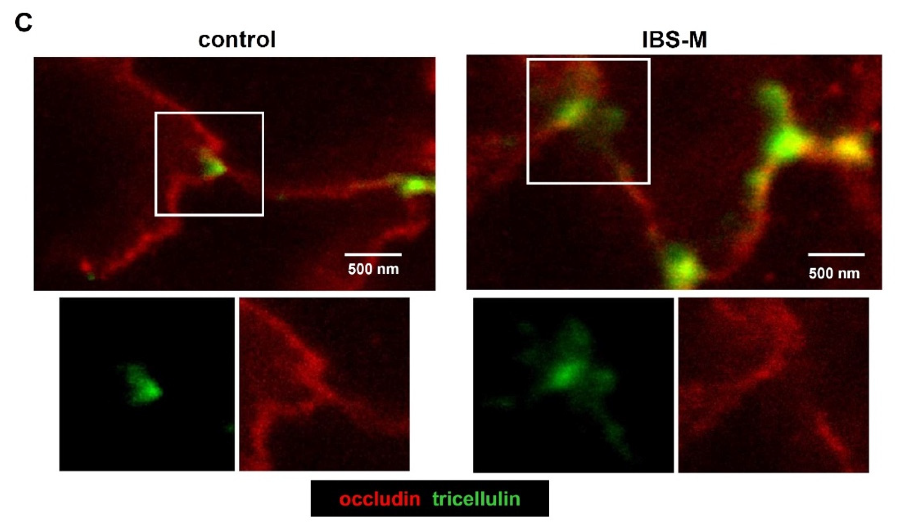 Cells 12 00236 g005b