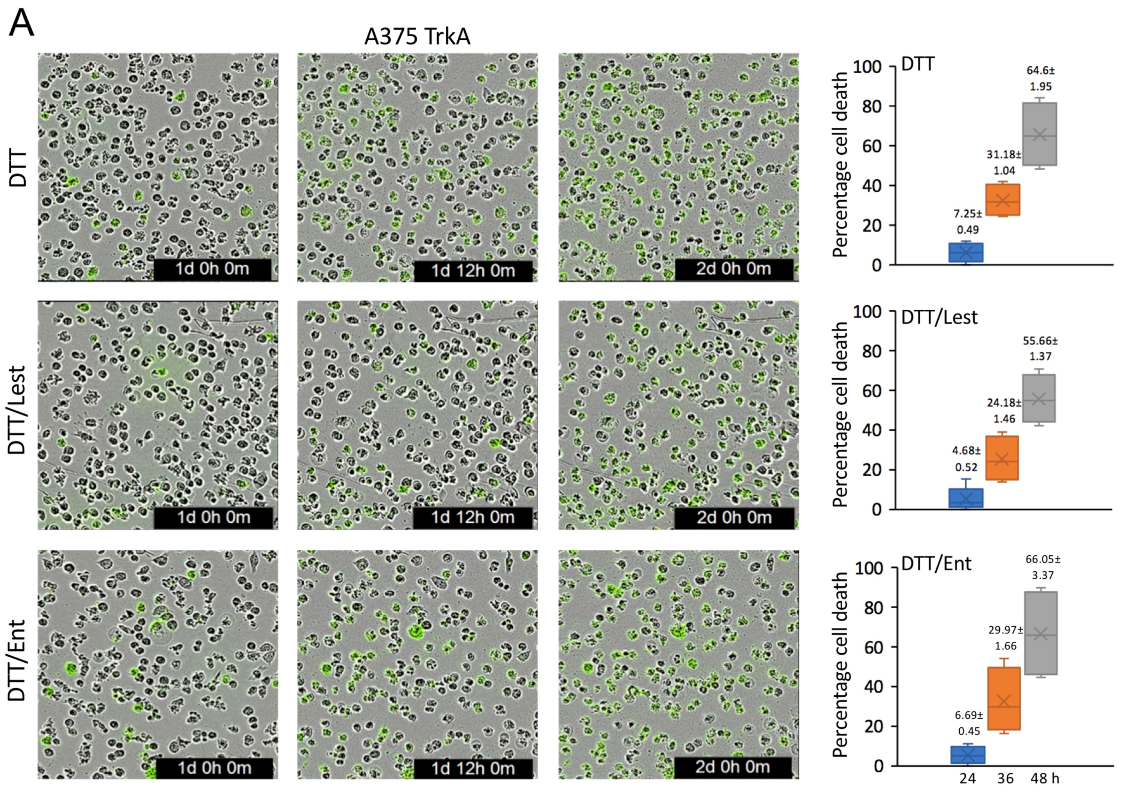 Cells 12 00237 g006a