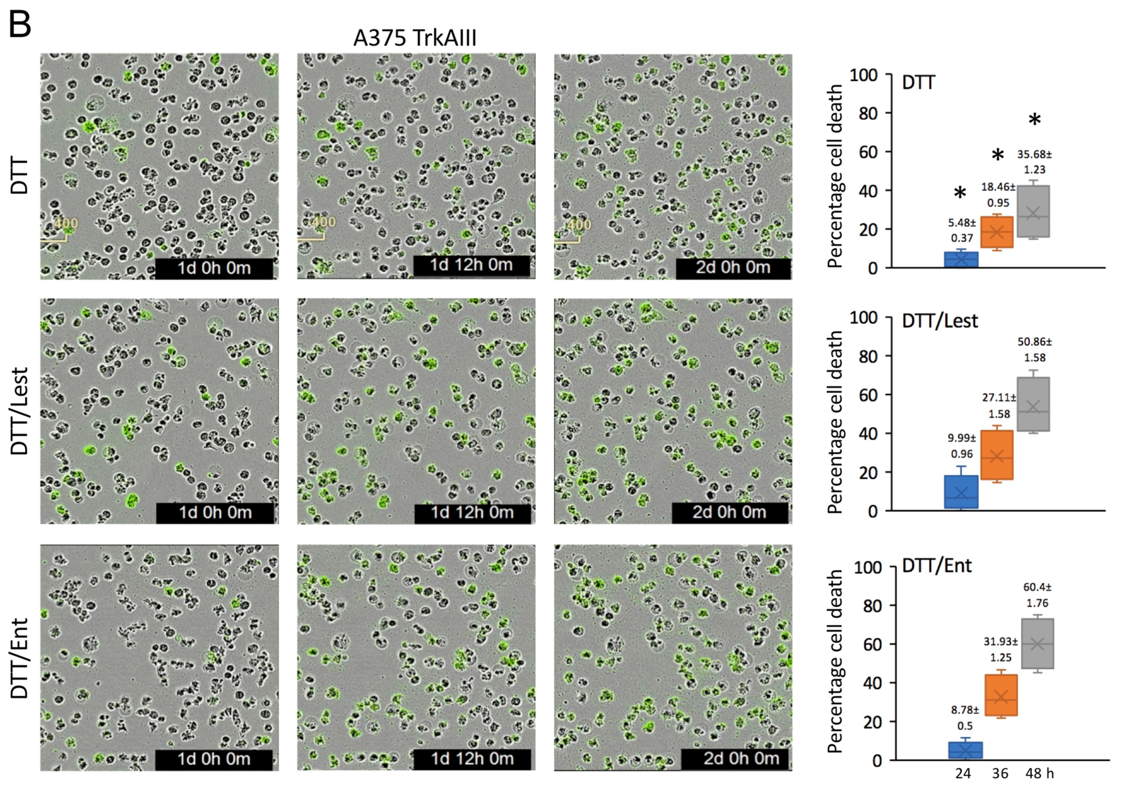 Cells 12 00237 g006b