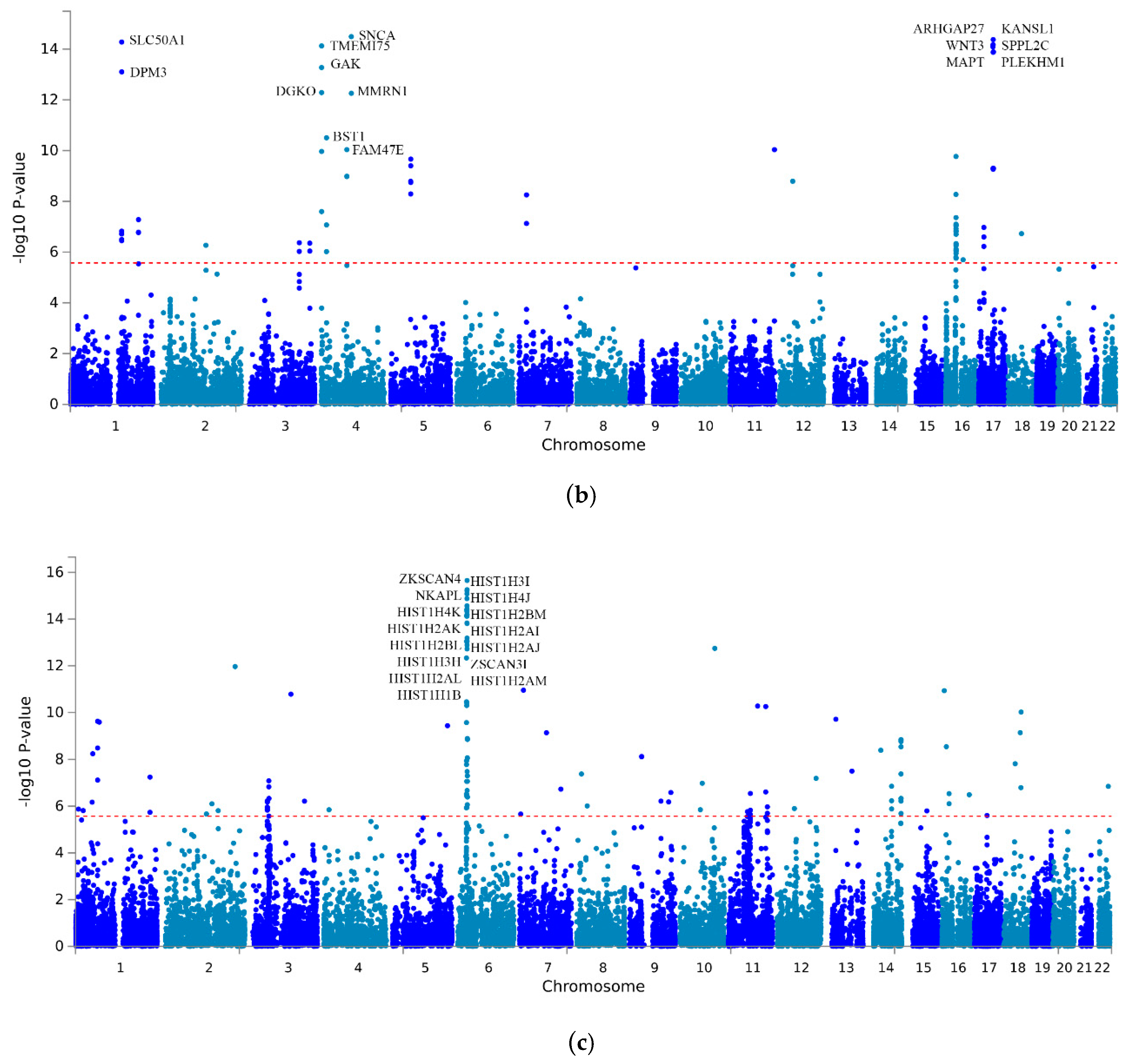 Cells 12 00245 g002b