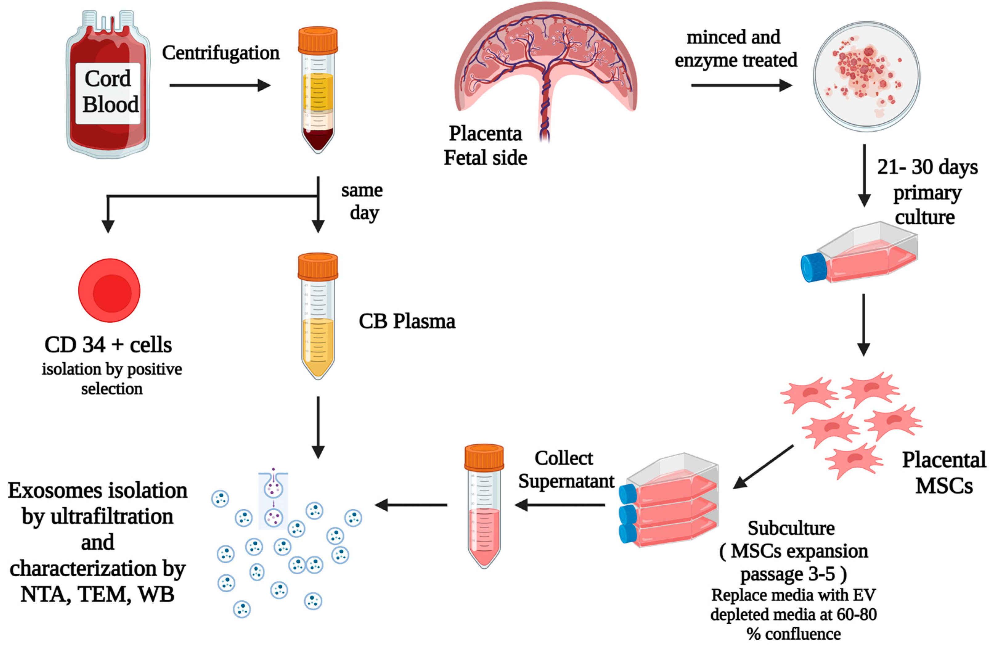 Cells 12 00250 g001 Cells 12 00250 g001