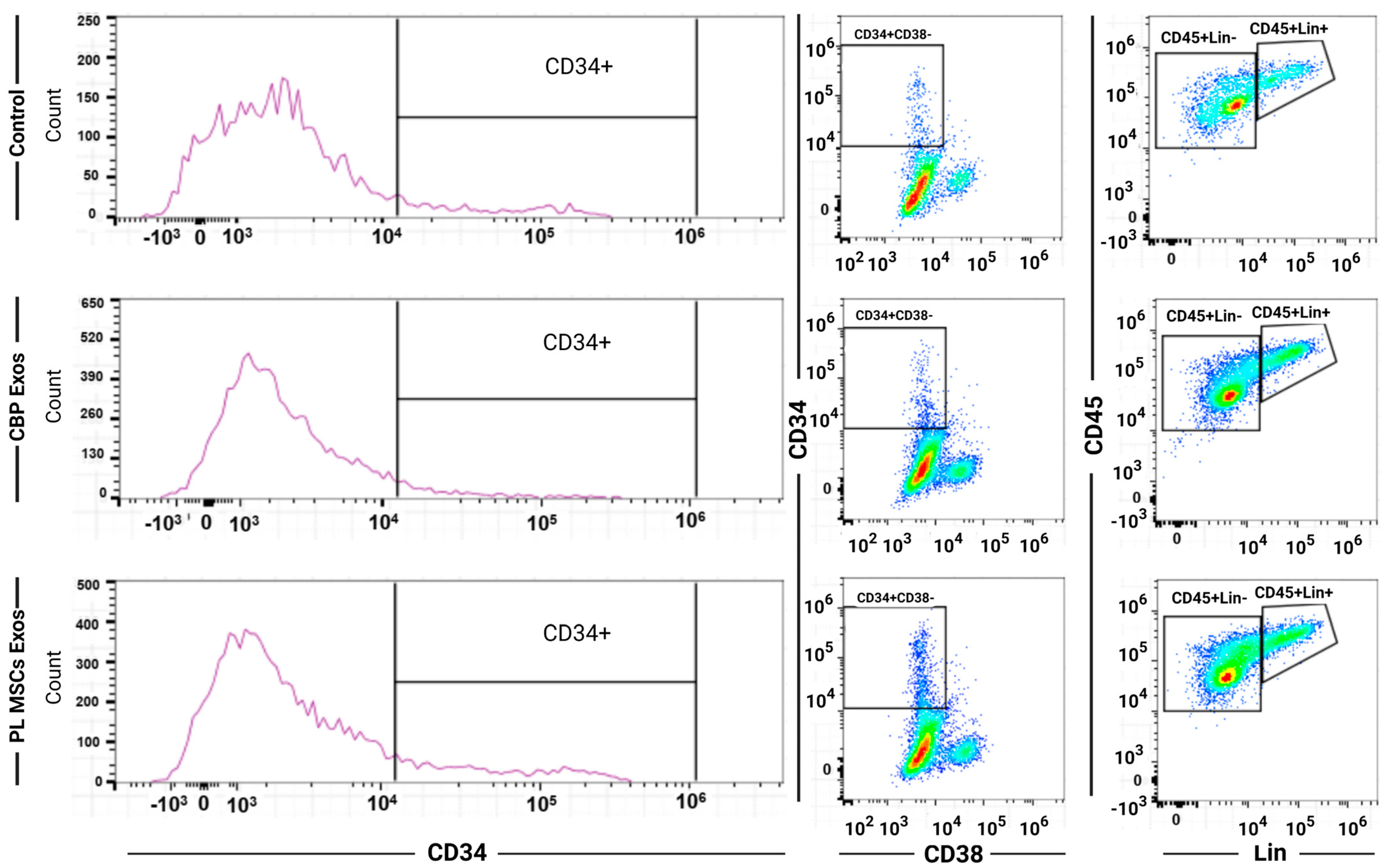 Cells 12 00250 g004 Cells 12 00250 g004