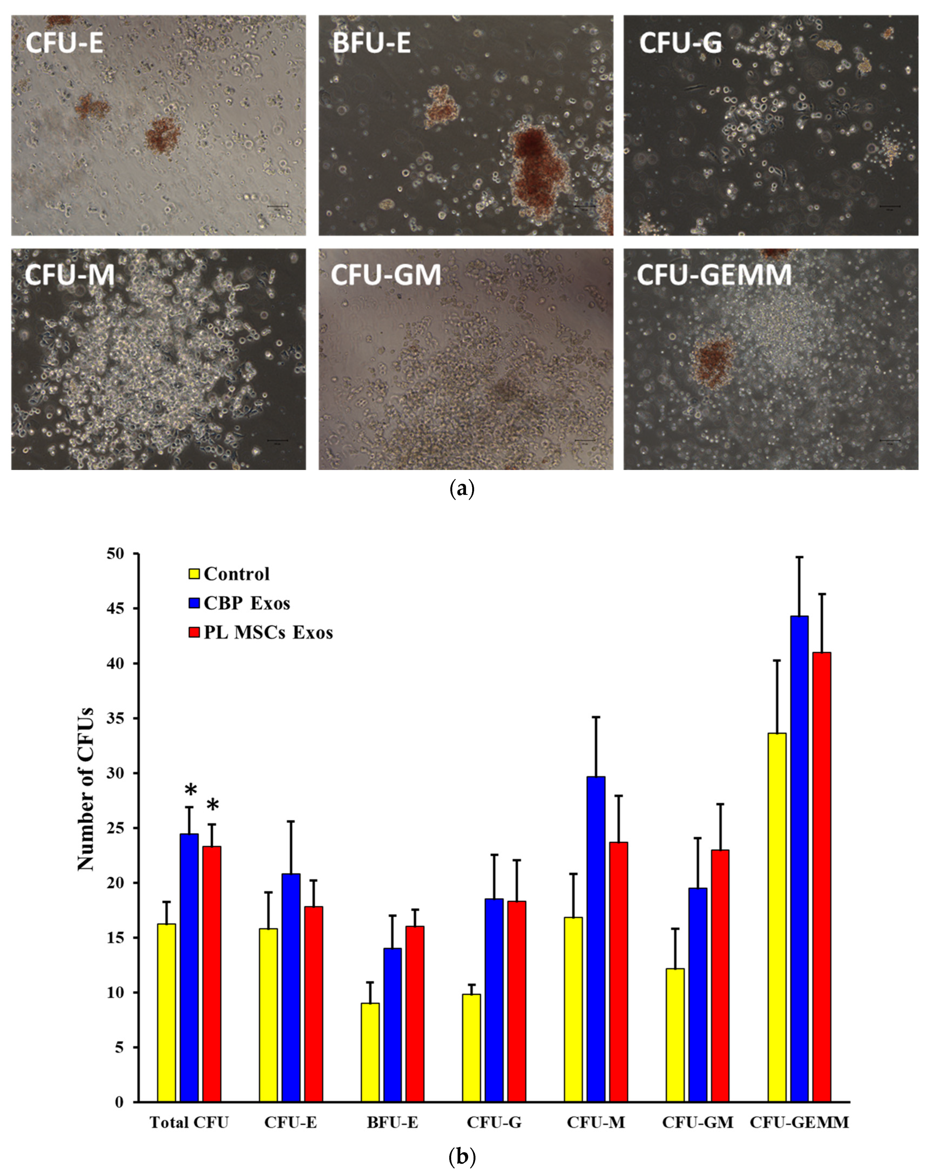 Cells 12 00250 g006 Cells 12 00250 g006
