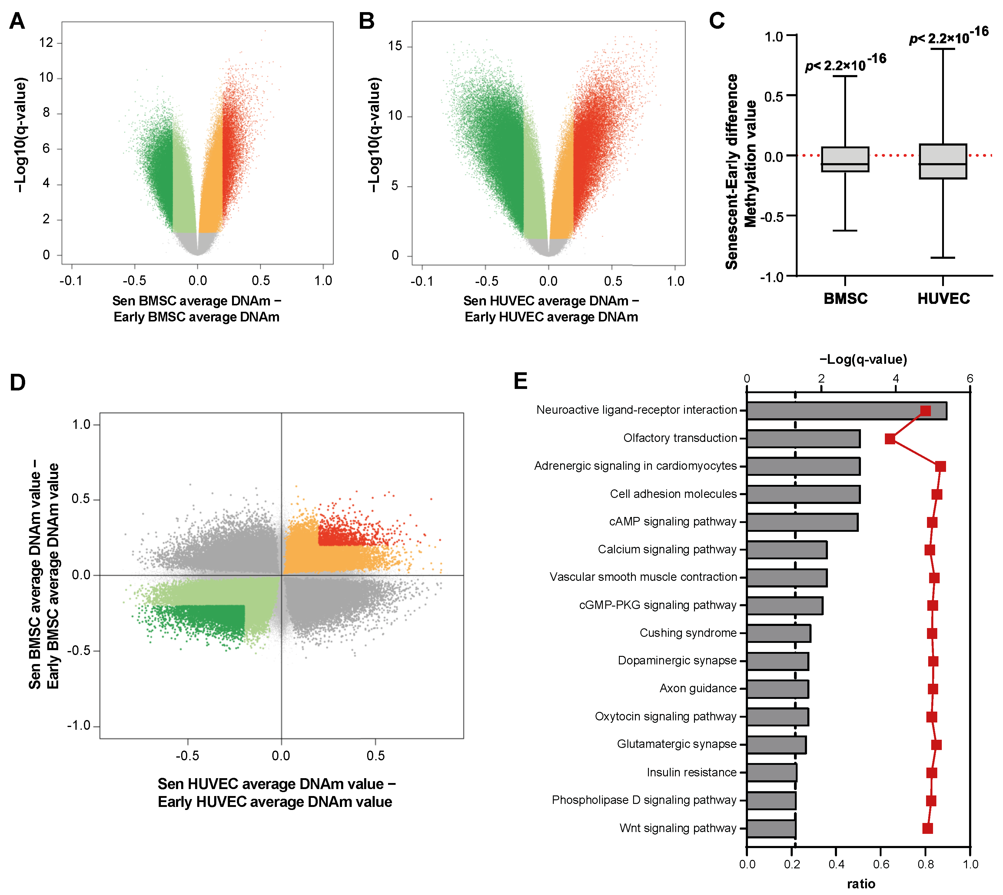 Cells 12 00285 g003 Cells 12 00285 g003
