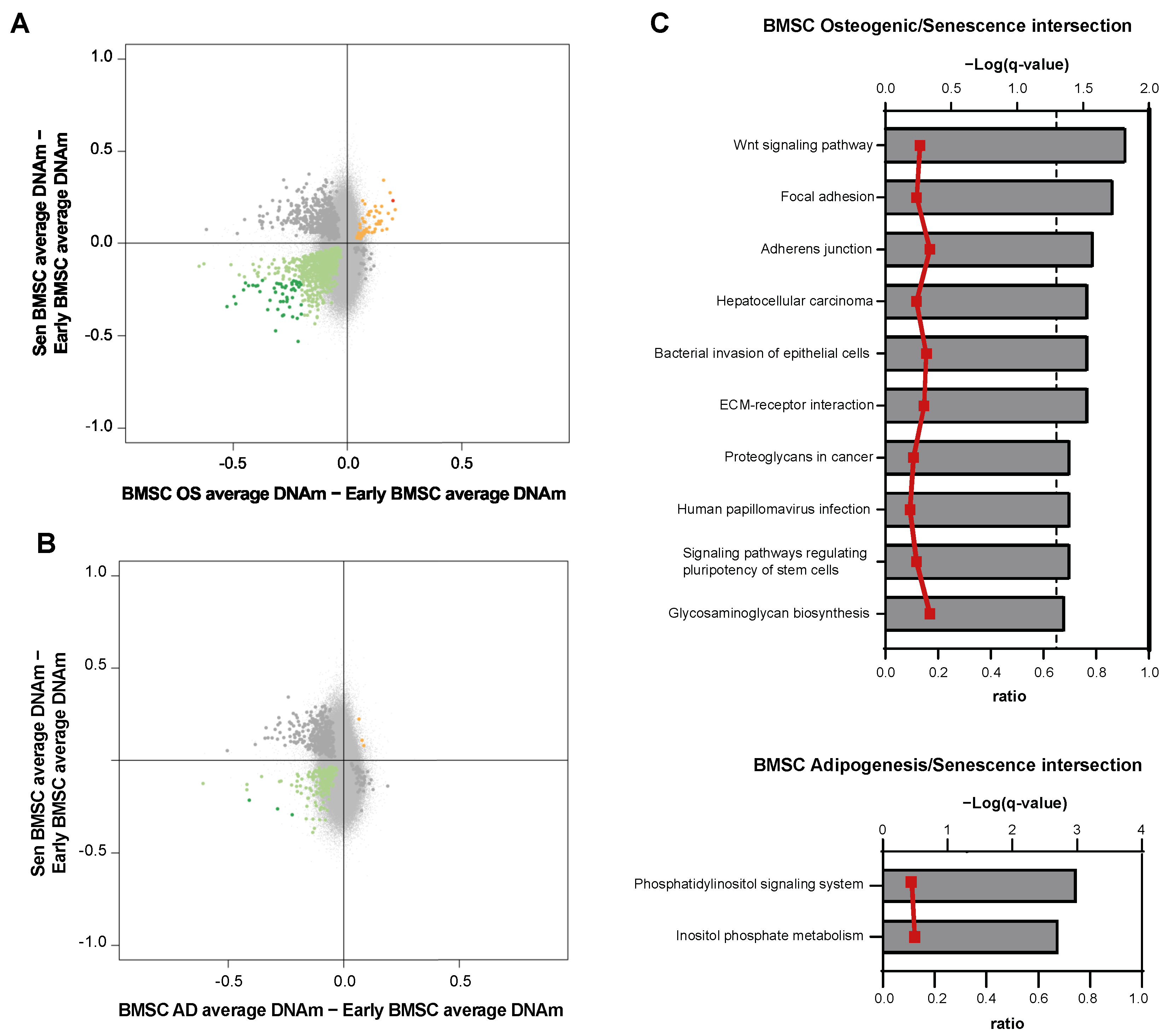 Cells 12 00285 g005 Cells 12 00285 g005