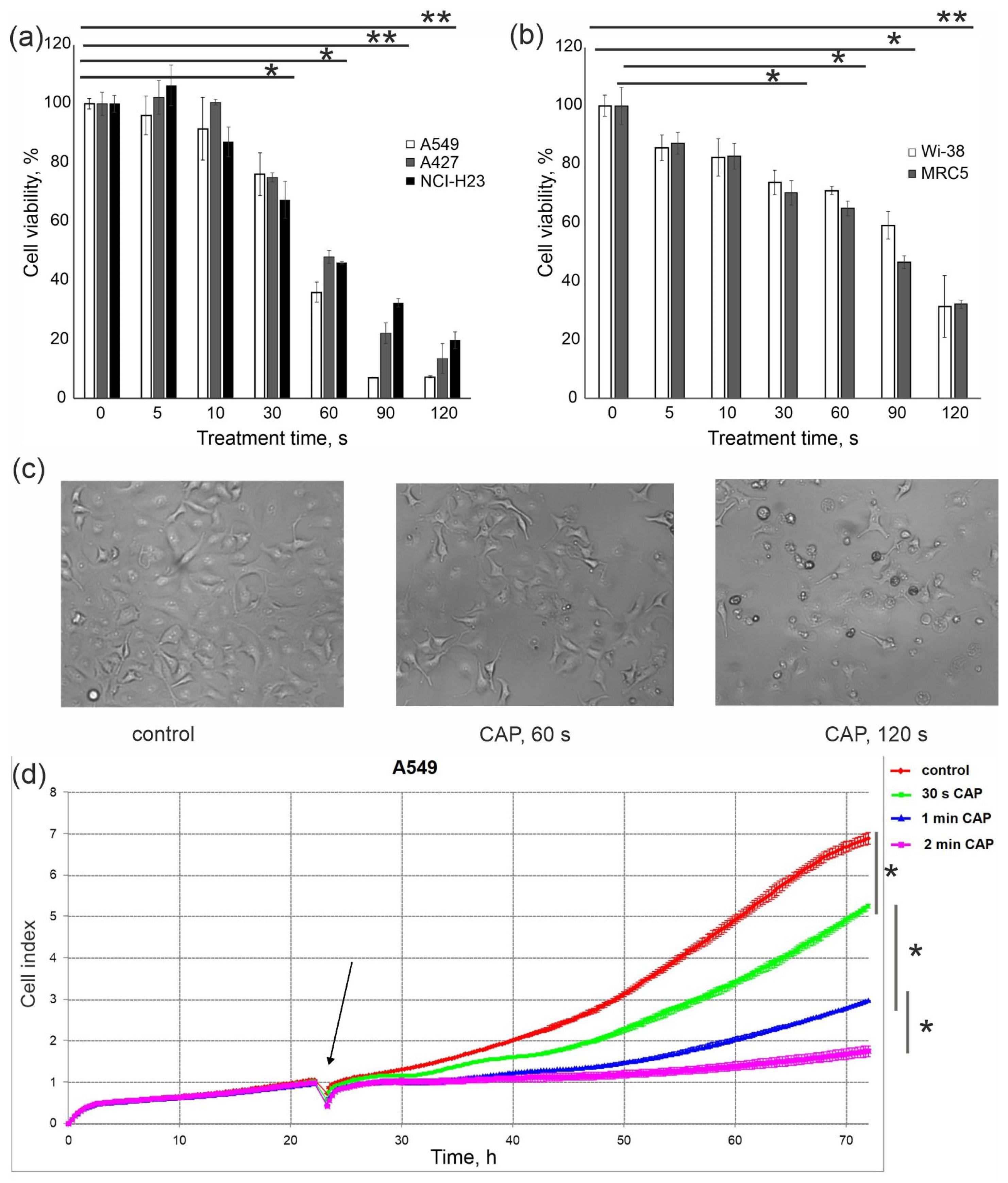Cells 12 00290 g002 Cells 12 00290 g002