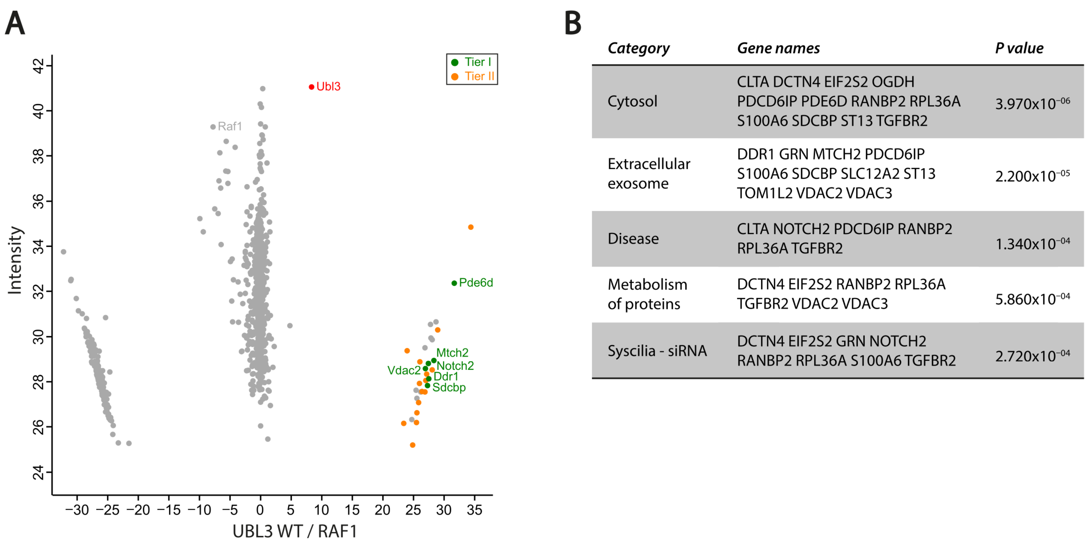 Cells 12 00312 g004 Cells 12 00312 g004