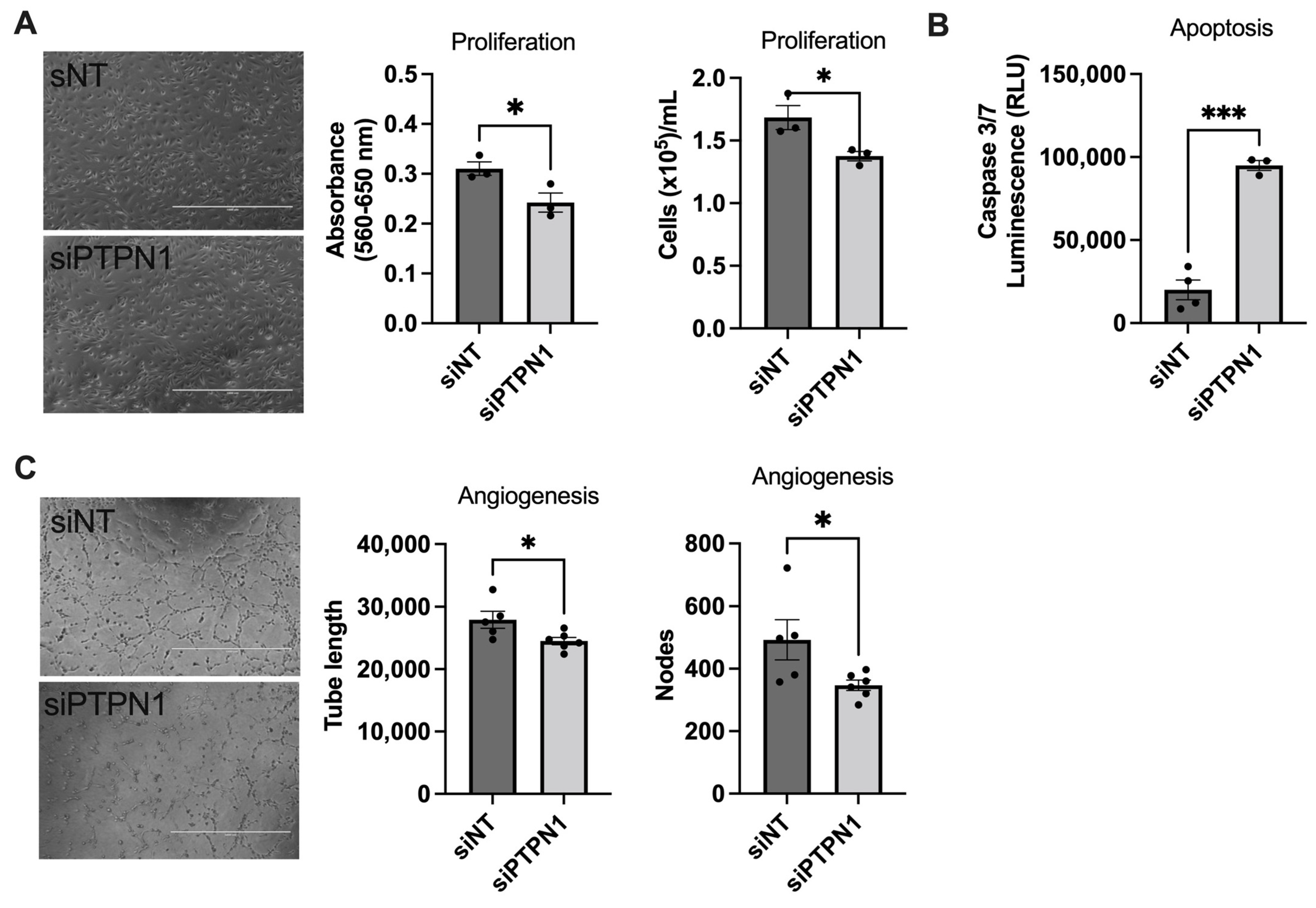 Cells 12 00316 g002 Cells 12 00316 g002