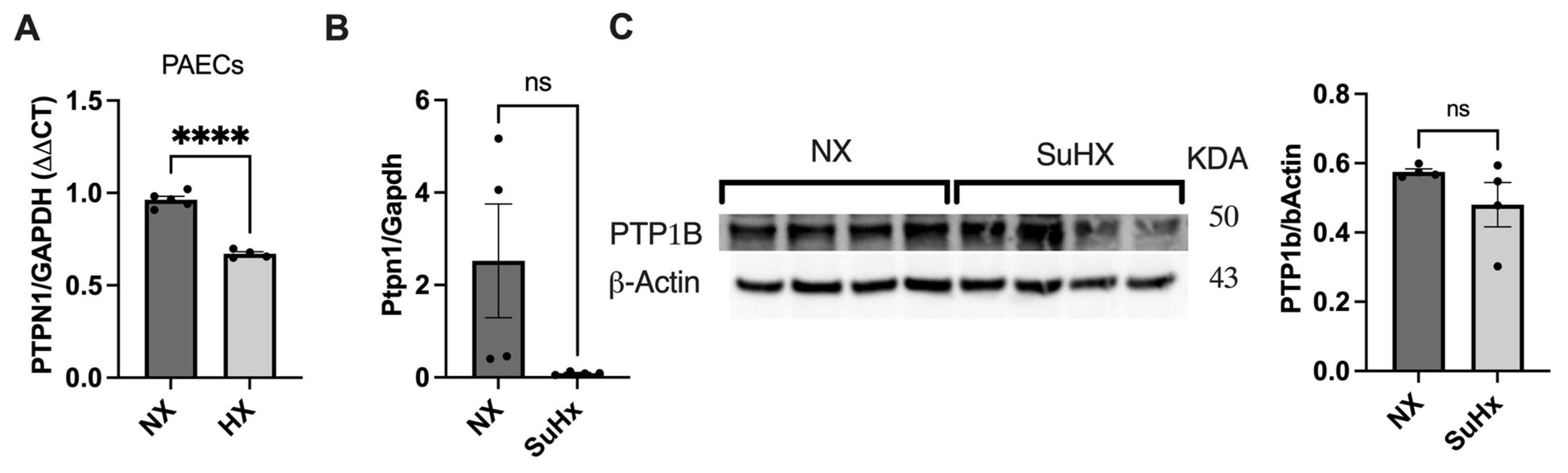 Cells 12 00316 g003 Cells 12 00316 g003
