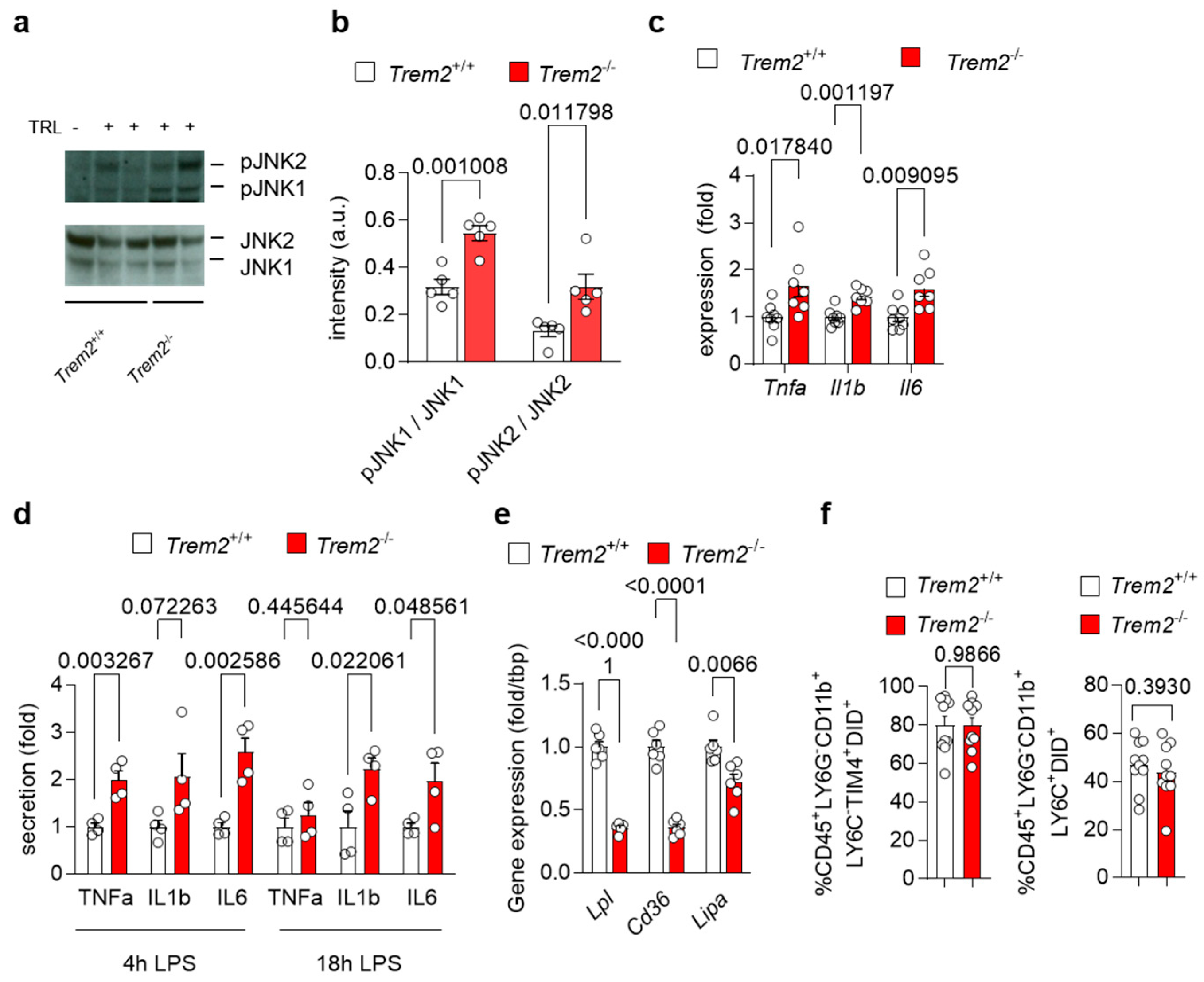 Cells 12 00341 g002 Cells 12 00341 g002