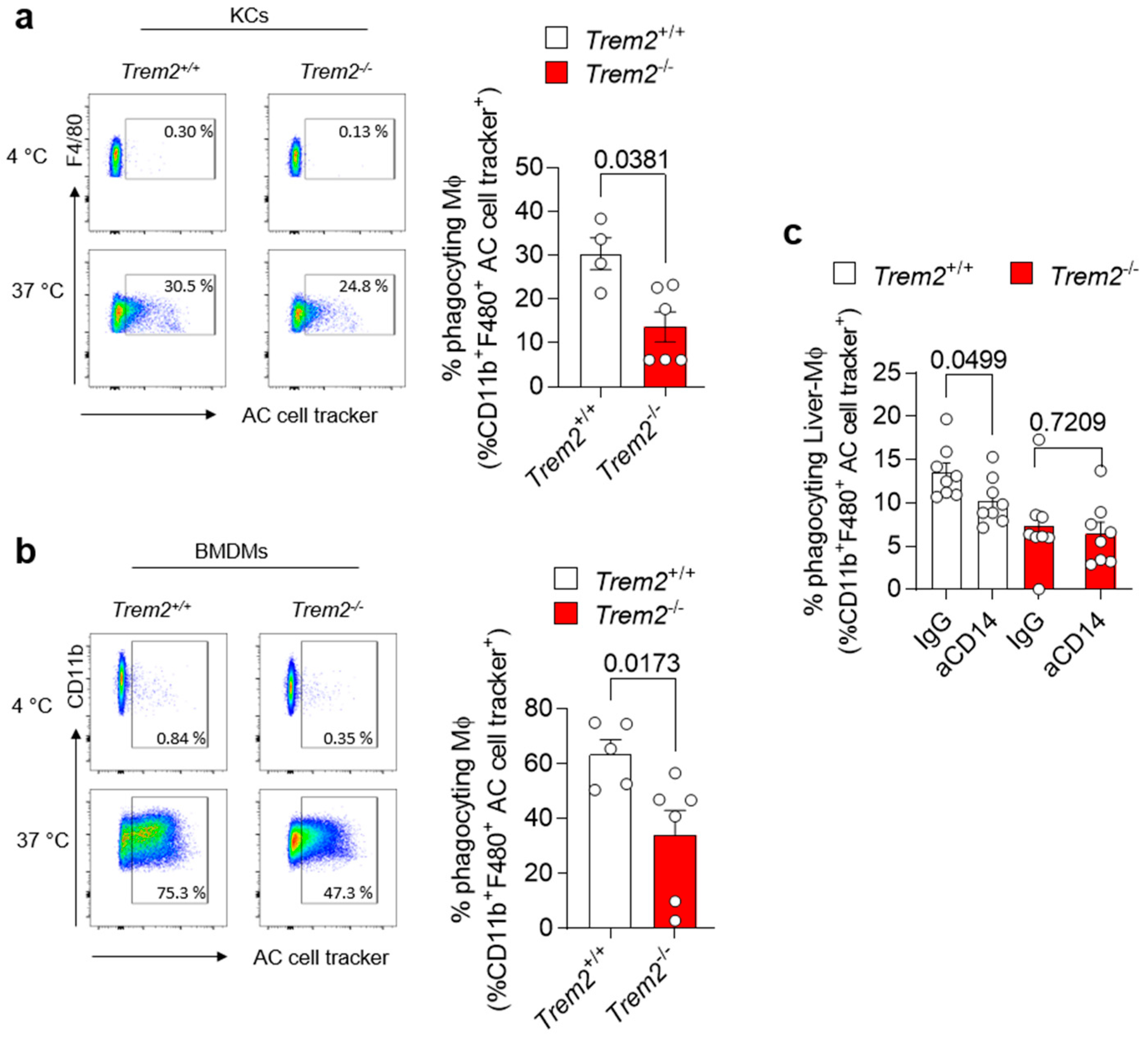 Cells 12 00341 g003 Cells 12 00341 g003