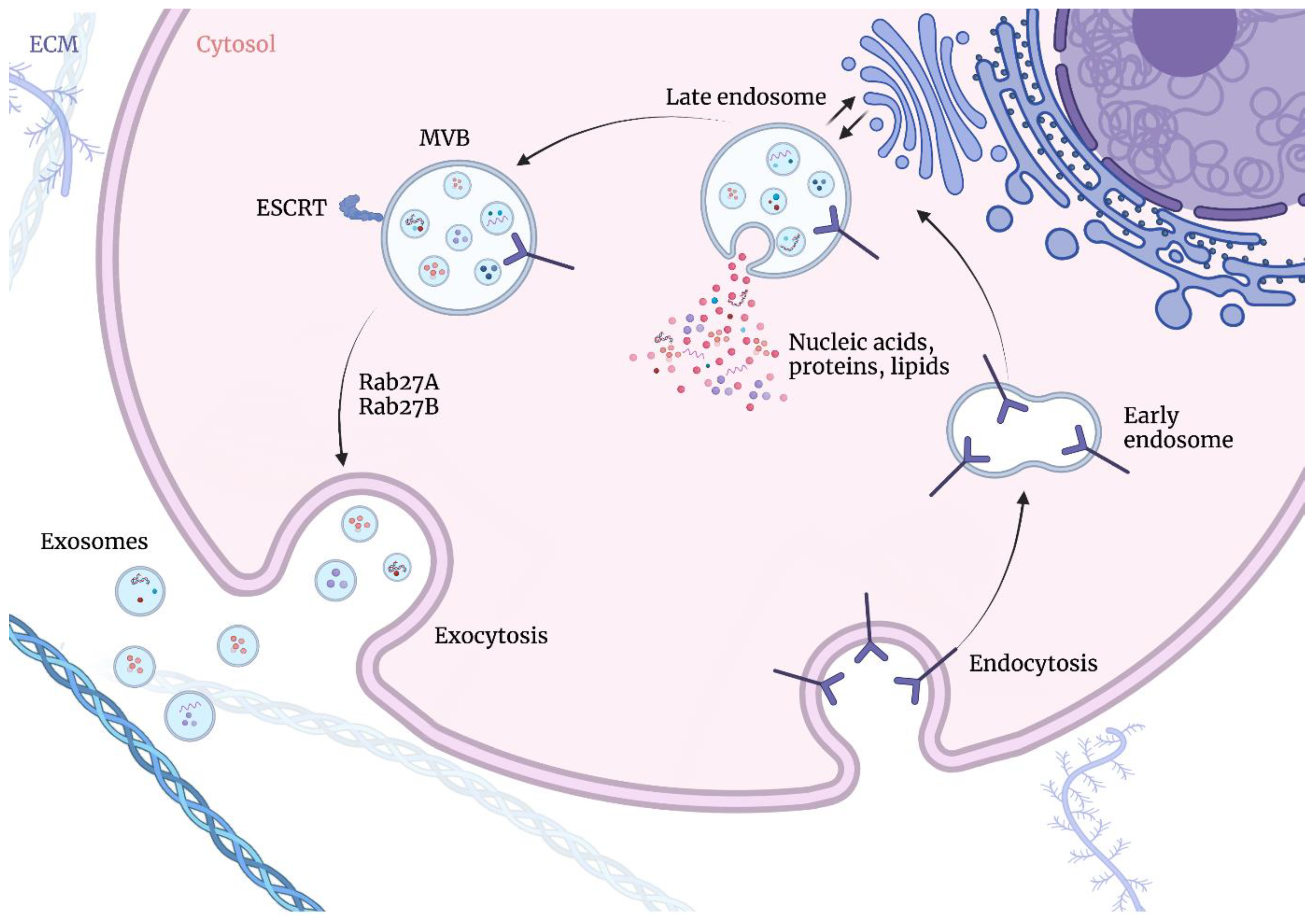 Cells 12 00356 g001 Cells 12 00356 g001