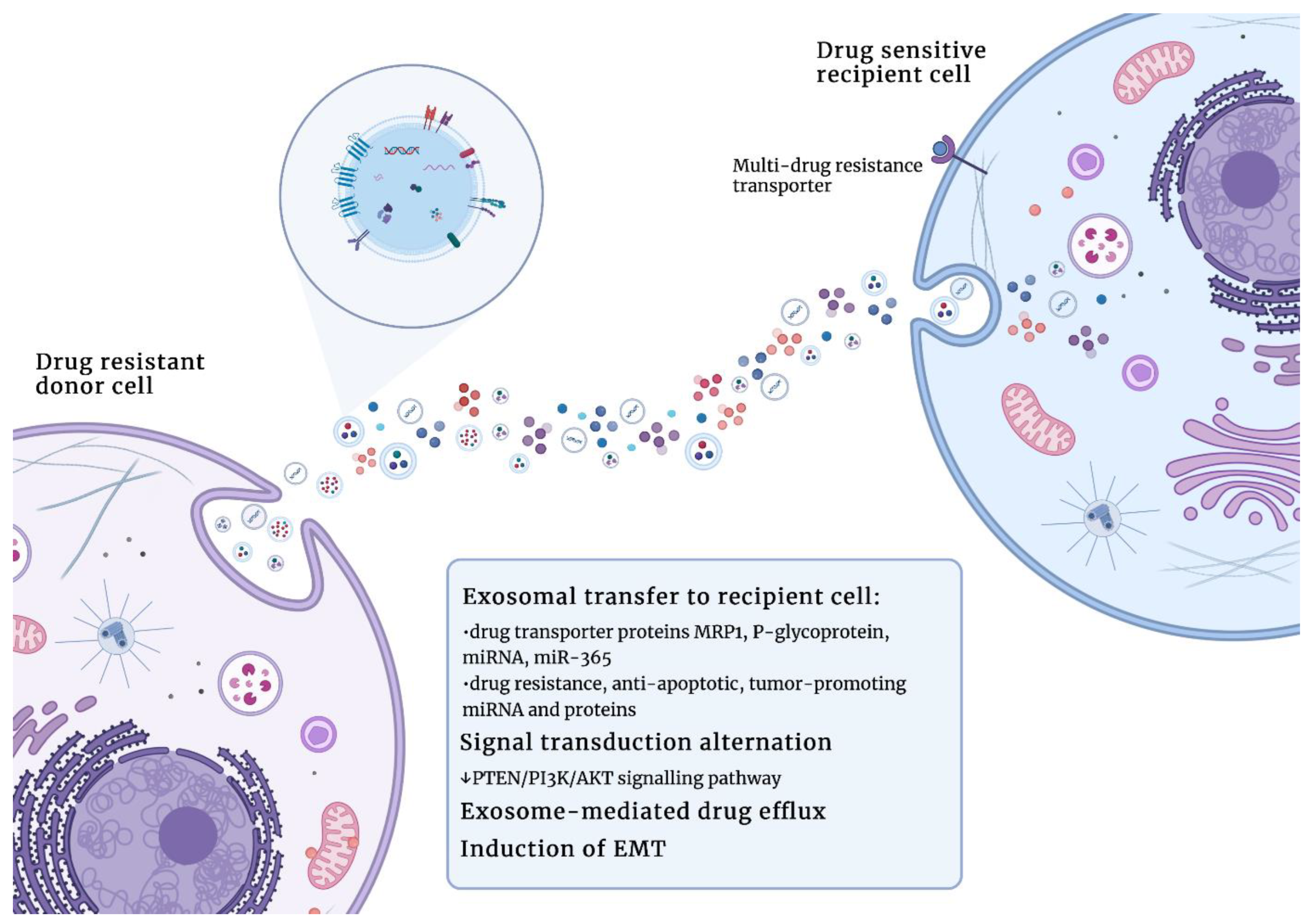 Cells 12 00356 g004 Cells 12 00356 g004