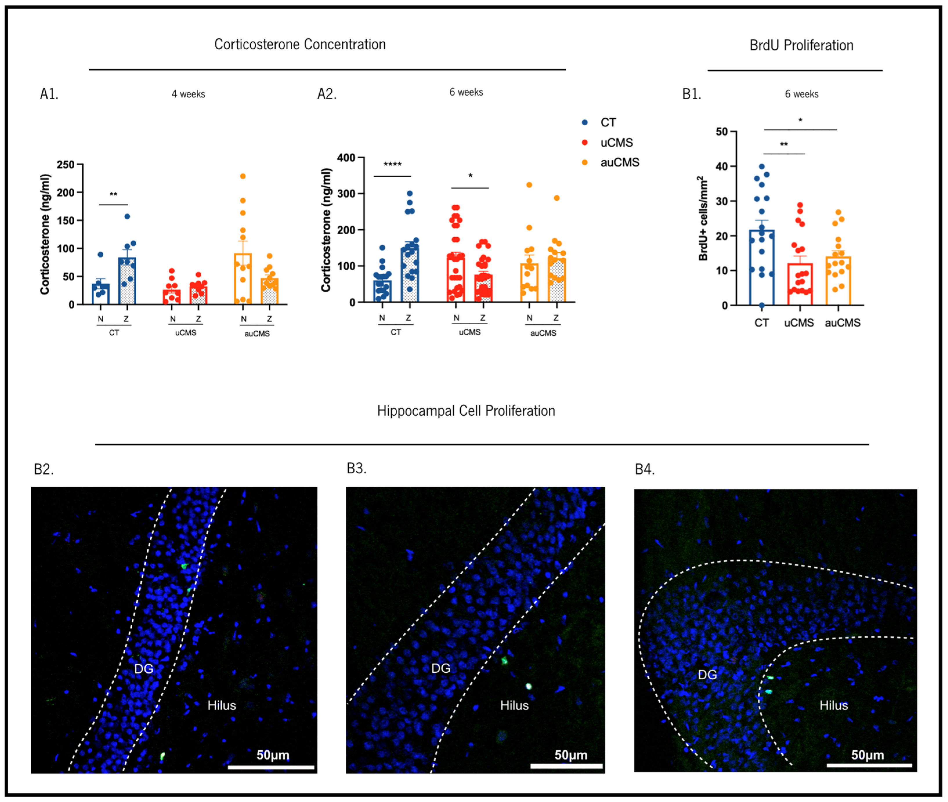 Cells 12 00381 g004 Cells 12 00381 g004