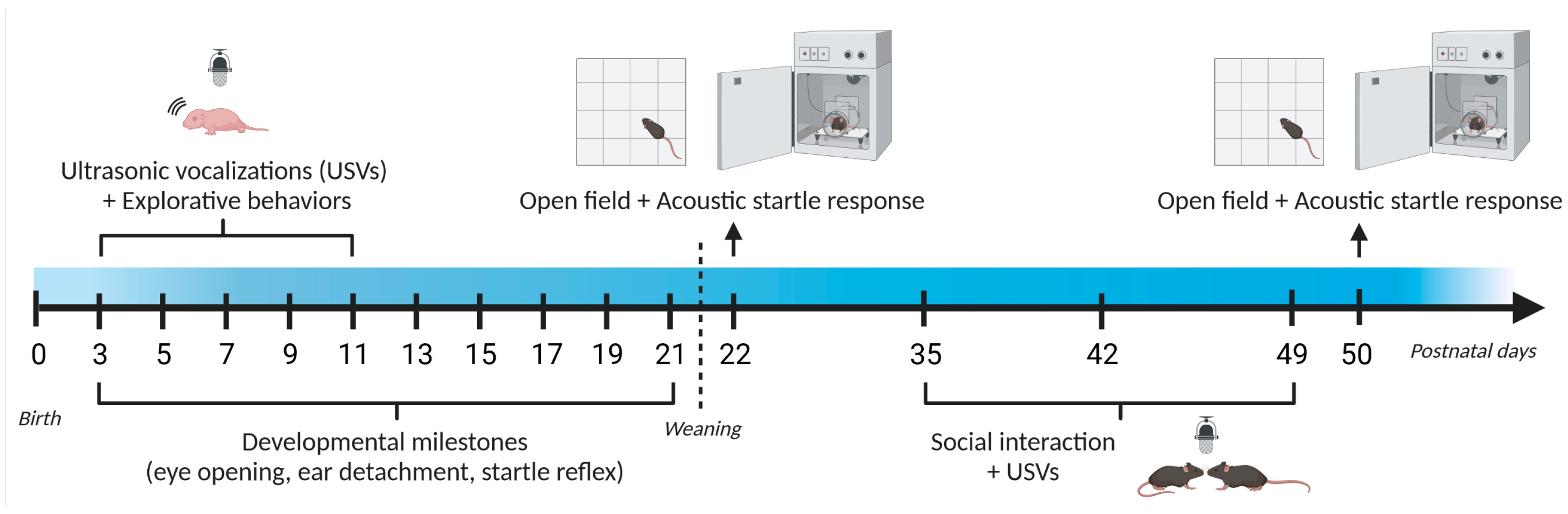 Cells 12 00391 g001 Cells 12 00391 g001