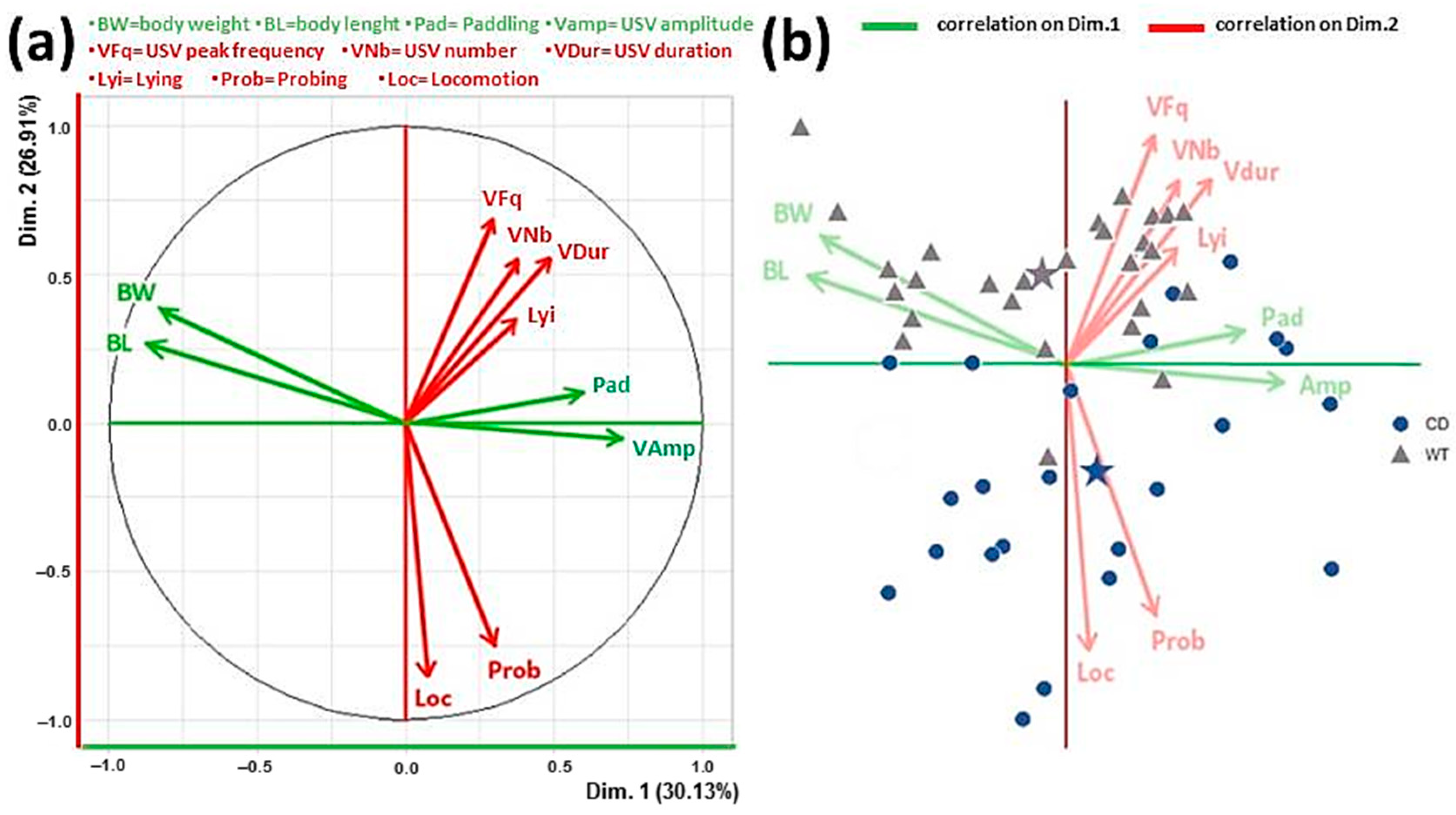 Cells 12 00391 g005 Cells 12 00391 g005