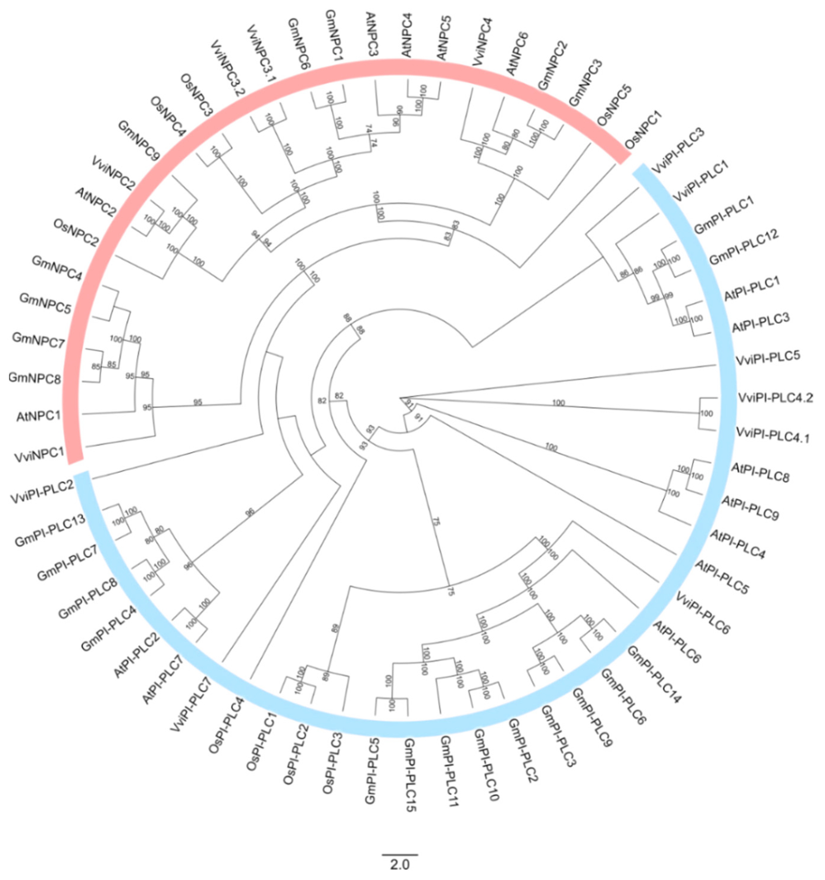 Cells 12 00394 g001 Cells 12 00394 g001