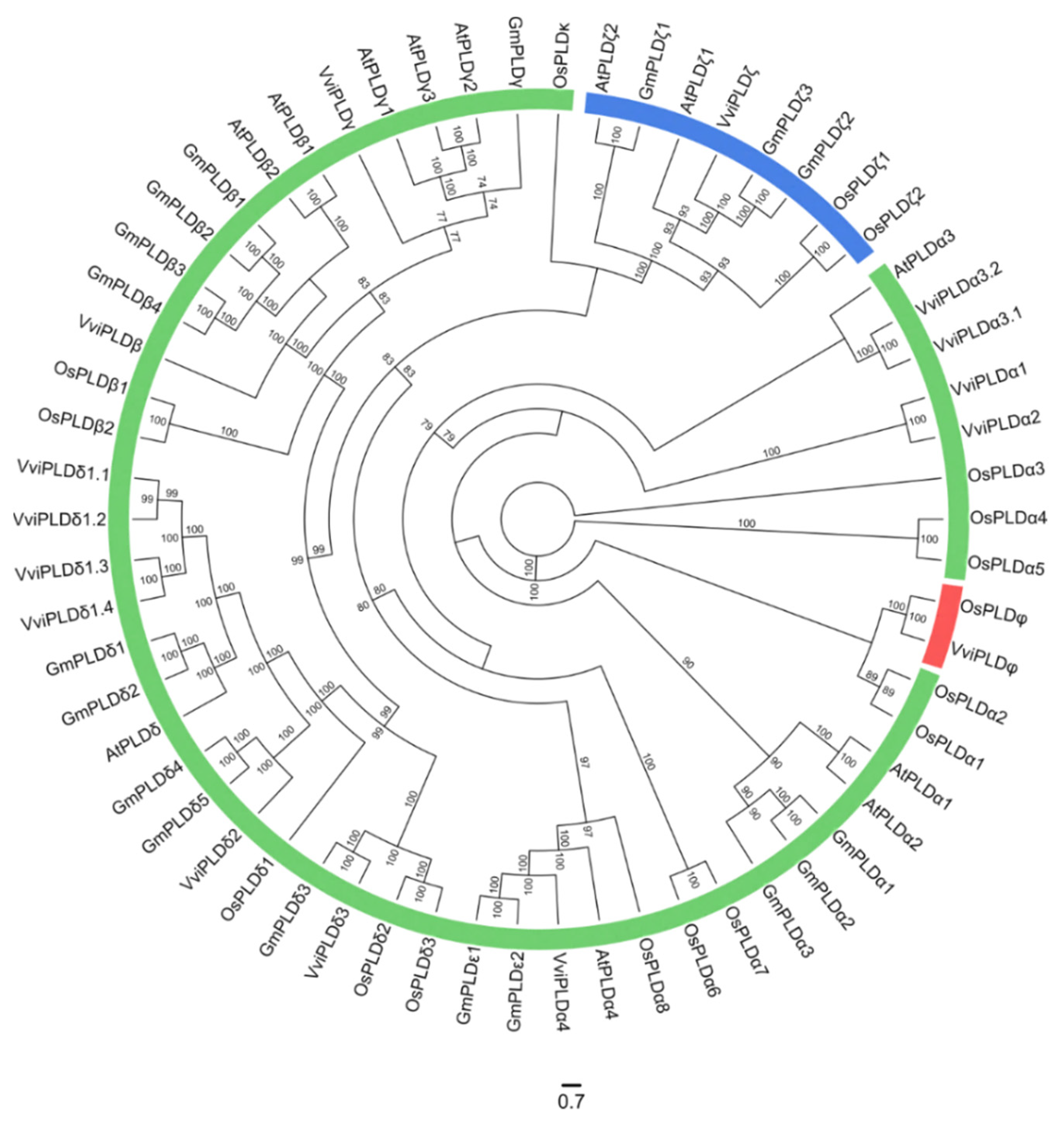 Cells 12 00394 g002 Cells 12 00394 g002