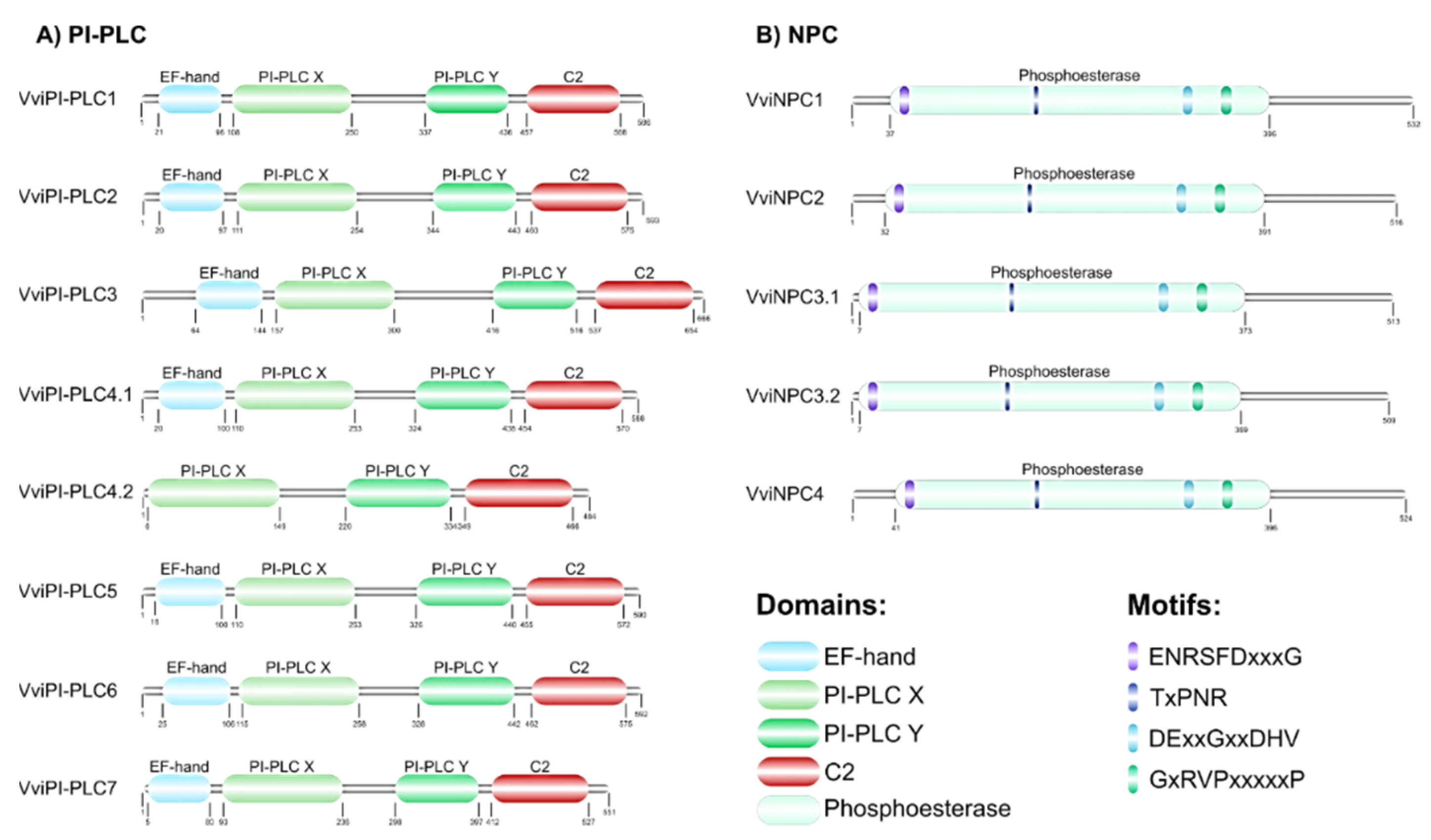 Cells 12 00394 g003 Cells 12 00394 g003