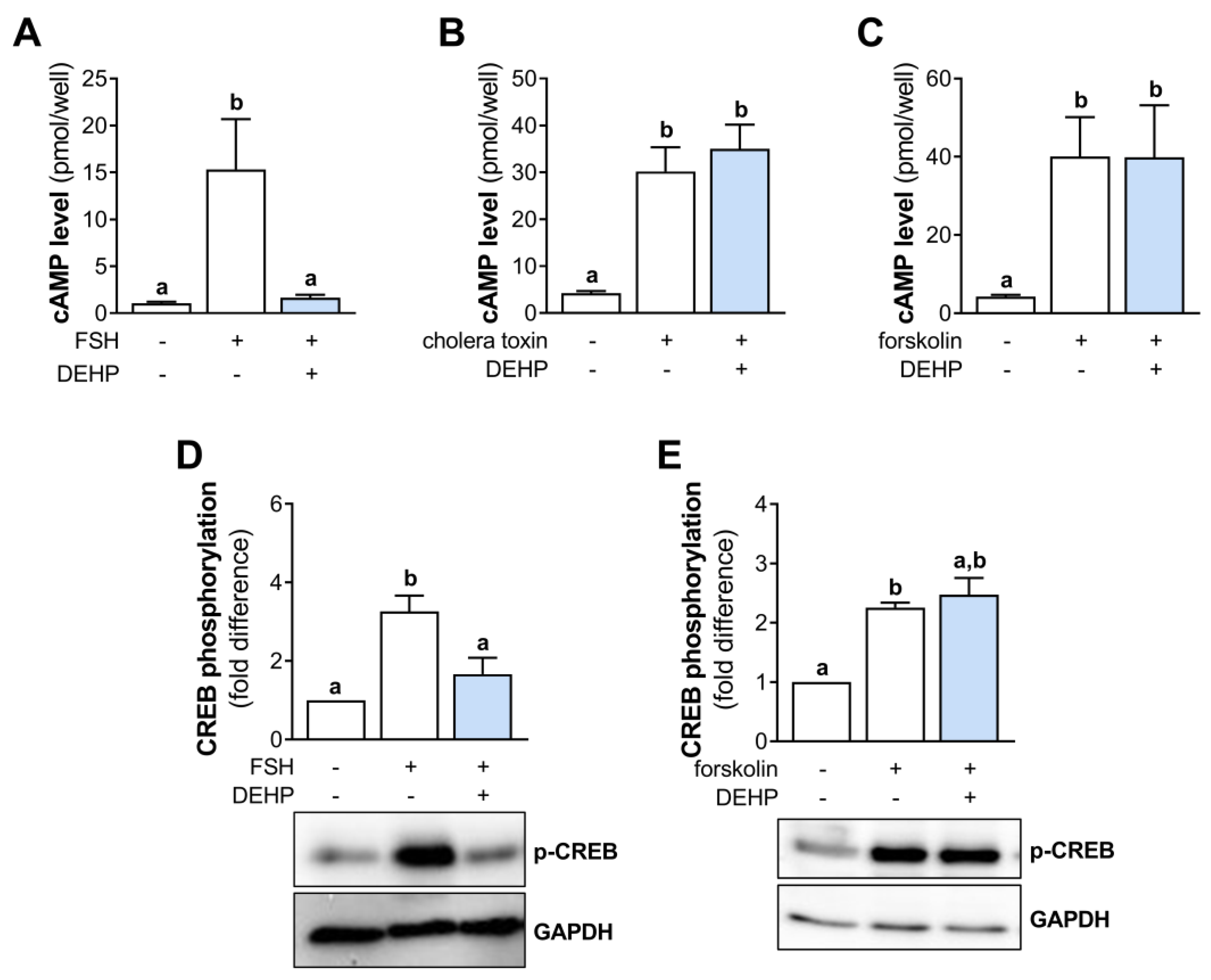 Cells 12 00398 g003 Cells 12 00398 g003