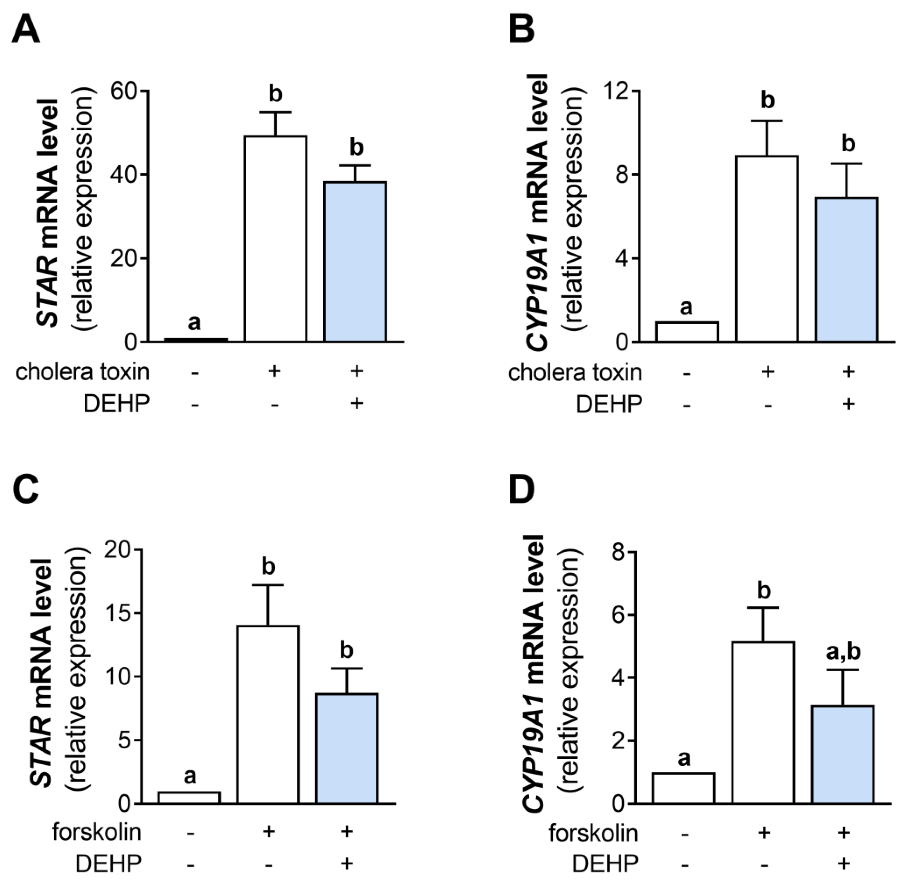 Cells 12 00398 g004 Cells 12 00398 g004