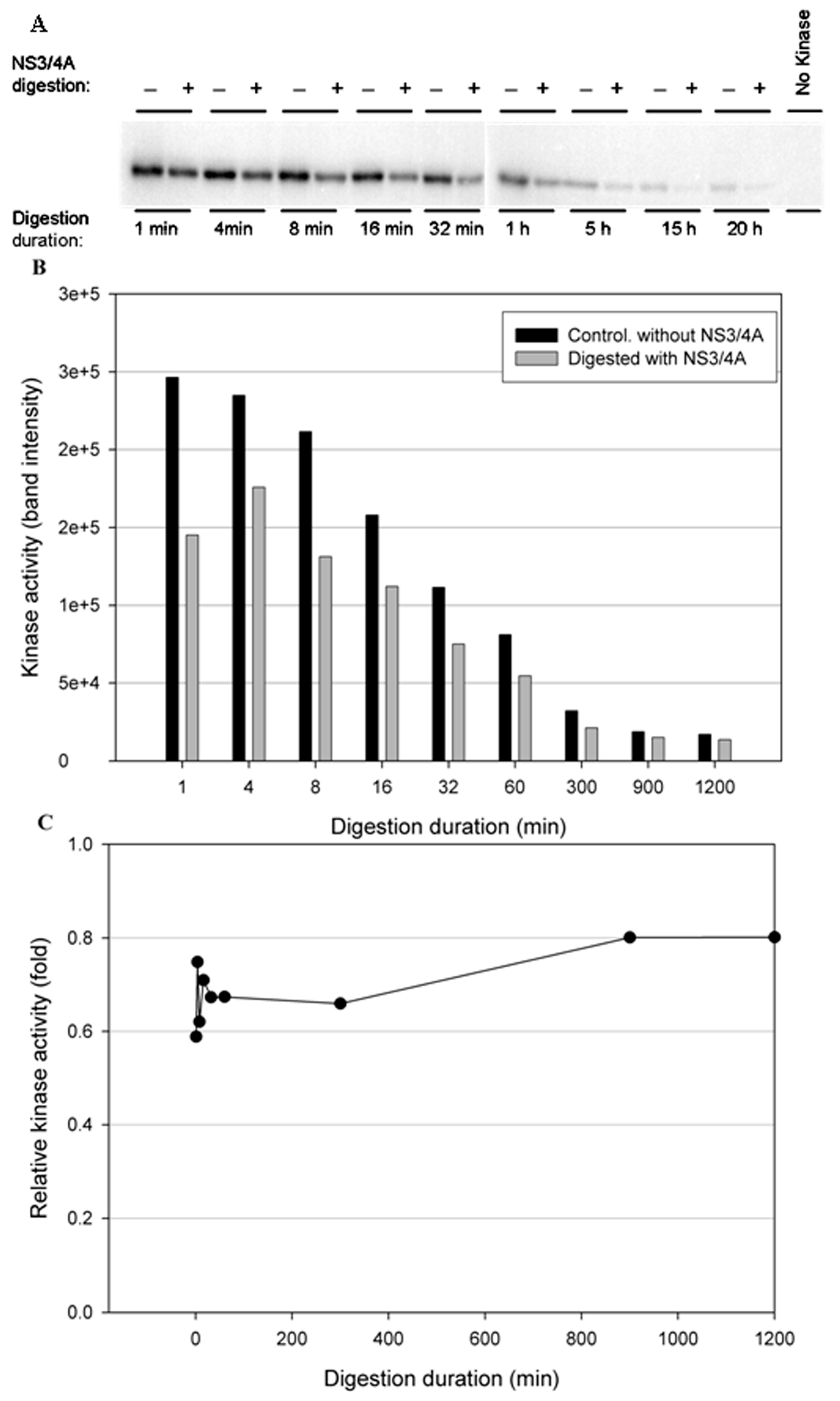 Cells 12 00406 g005 Cells 12 00406 g005