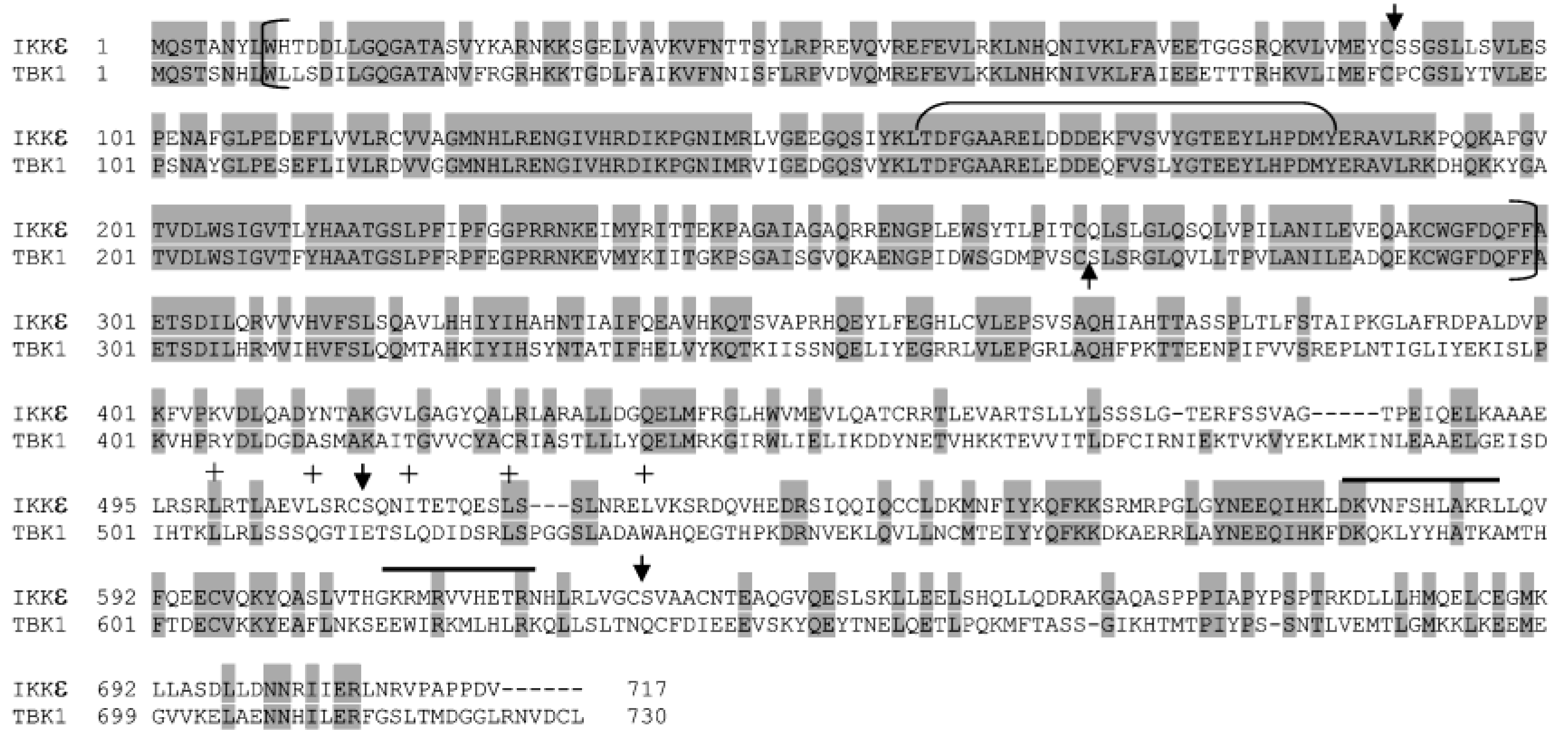 Cells 12 00406 g010 Cells 12 00406 g010