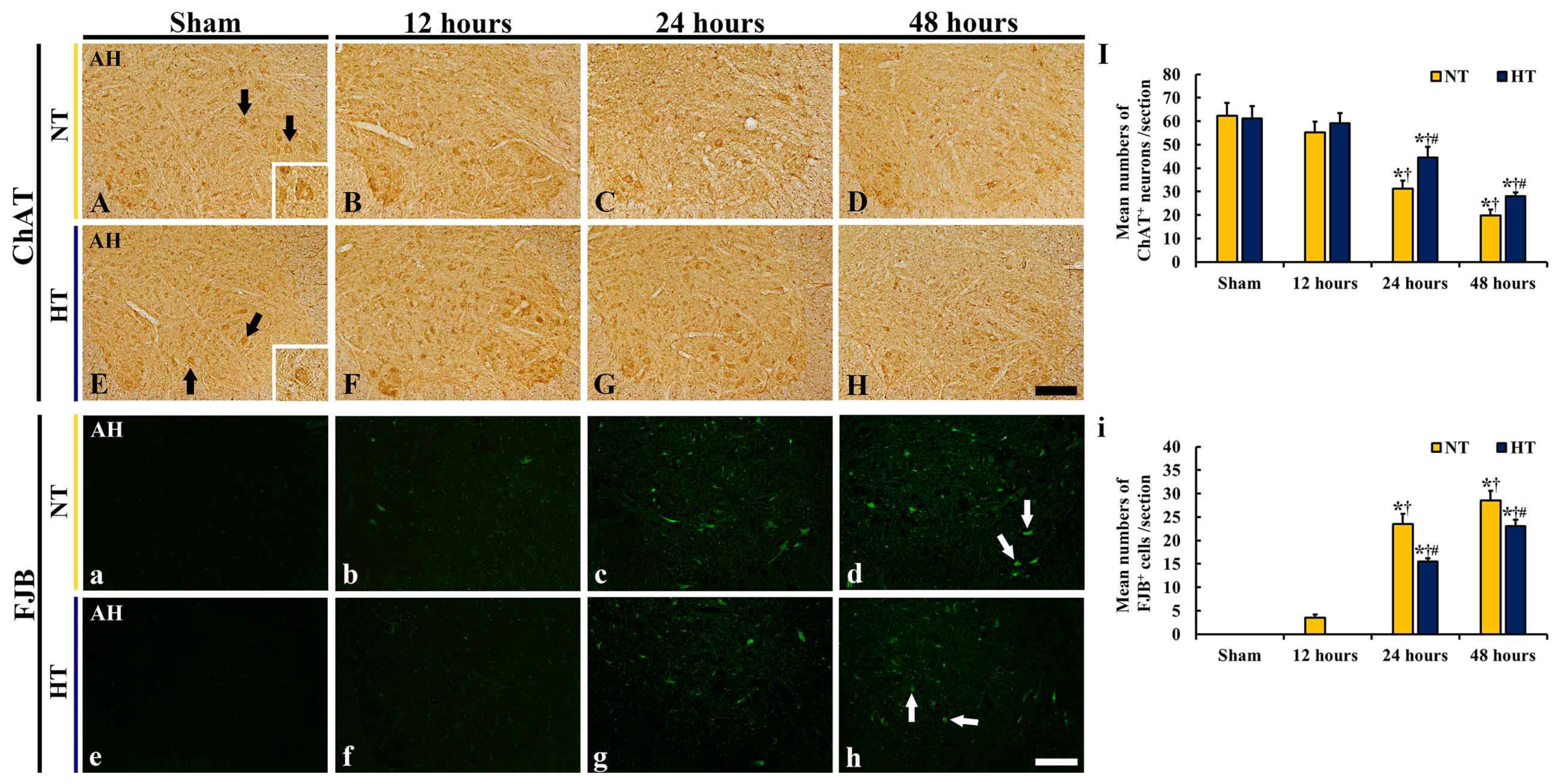 Cells 12 00414 g003 Cells 12 00414 g003