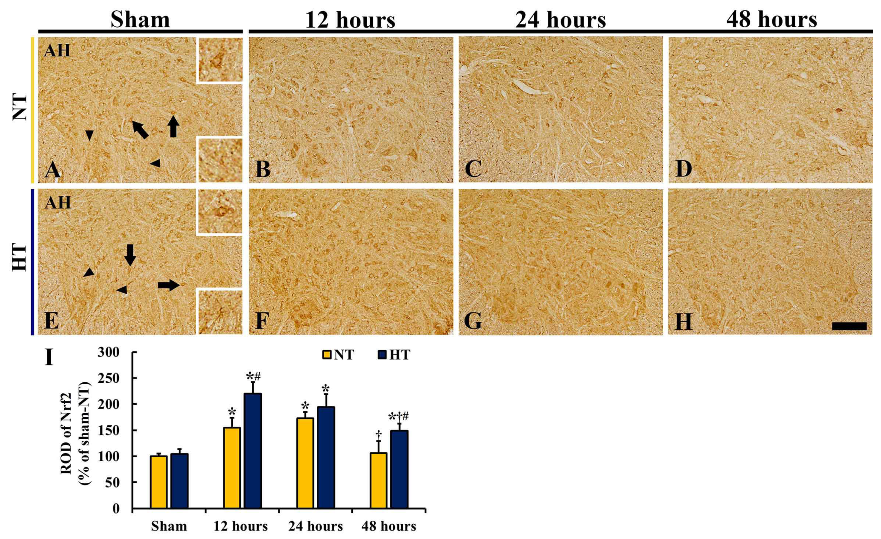Cells 12 00414 g005 Cells 12 00414 g005