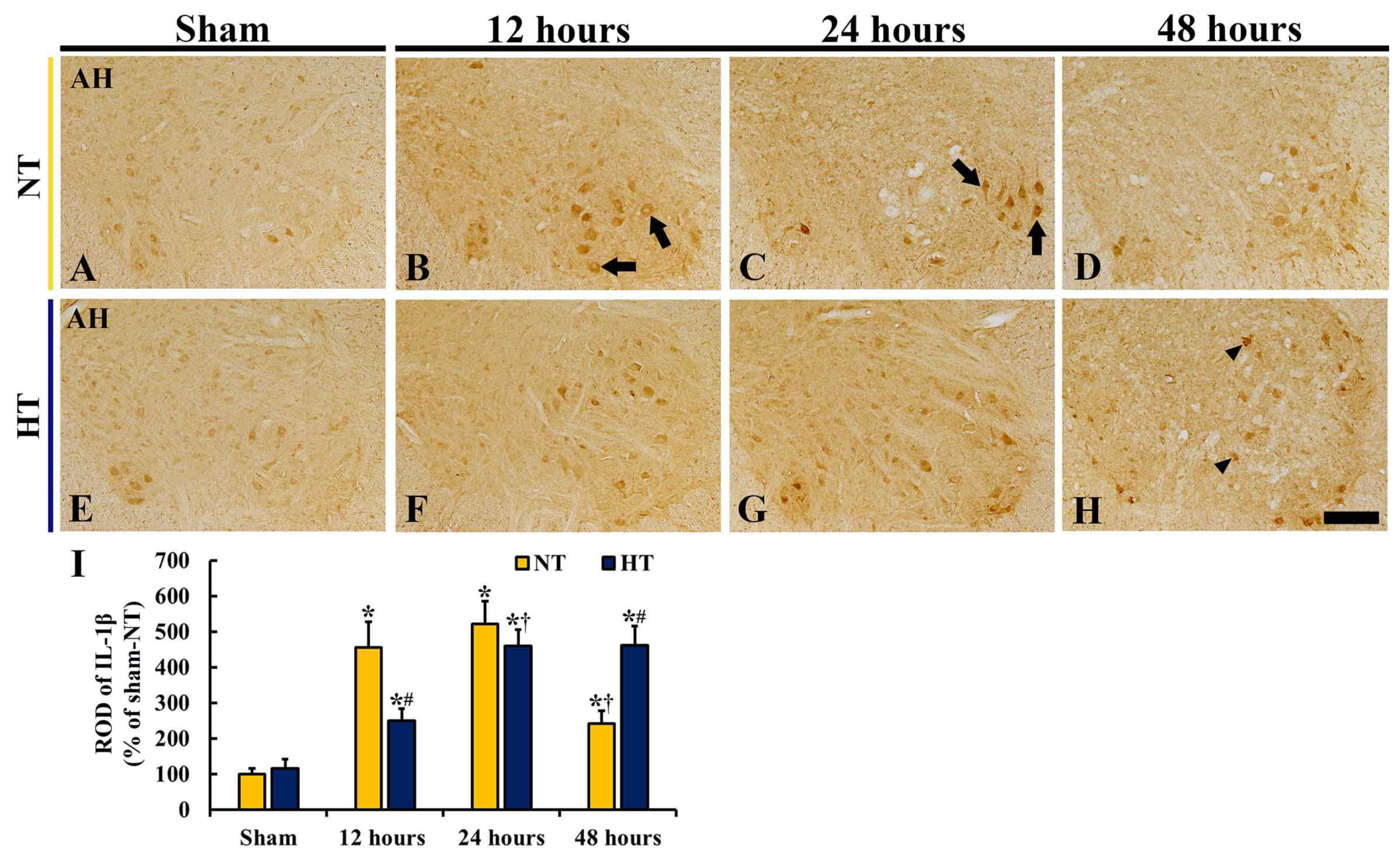Cells 12 00414 g008 Cells 12 00414 g008
