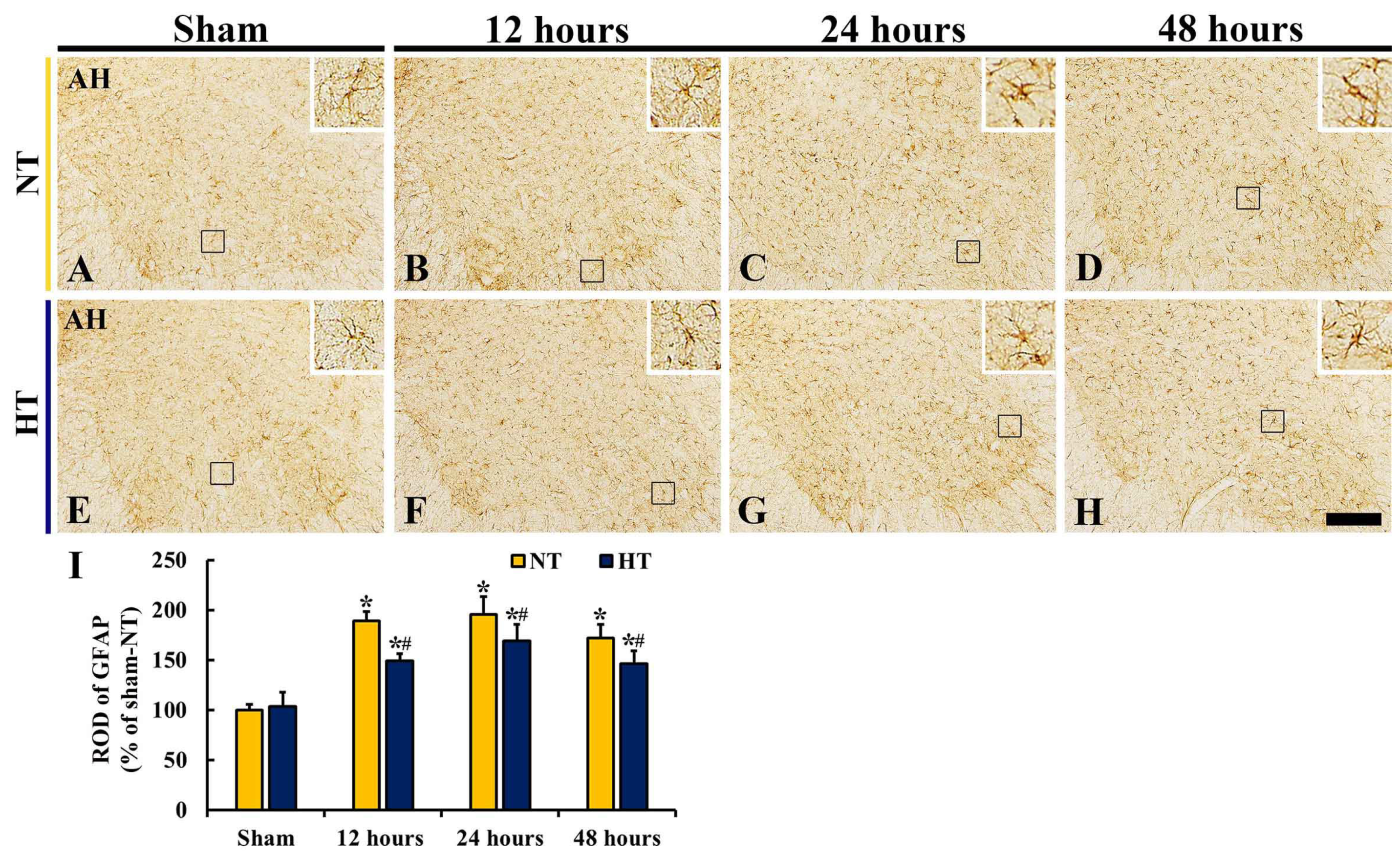 Cells 12 00414 g009 Cells 12 00414 g009