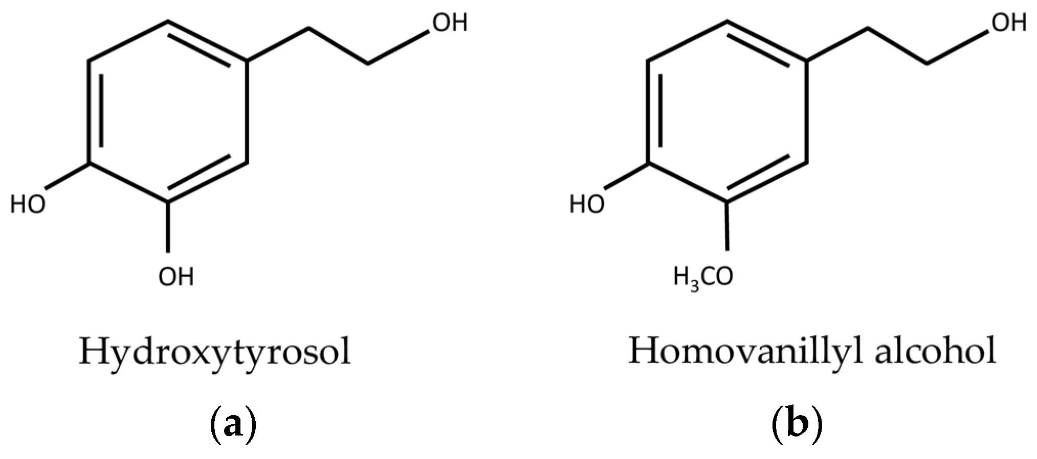 Cells 12 00424 g001 Cells 12 00424 g001